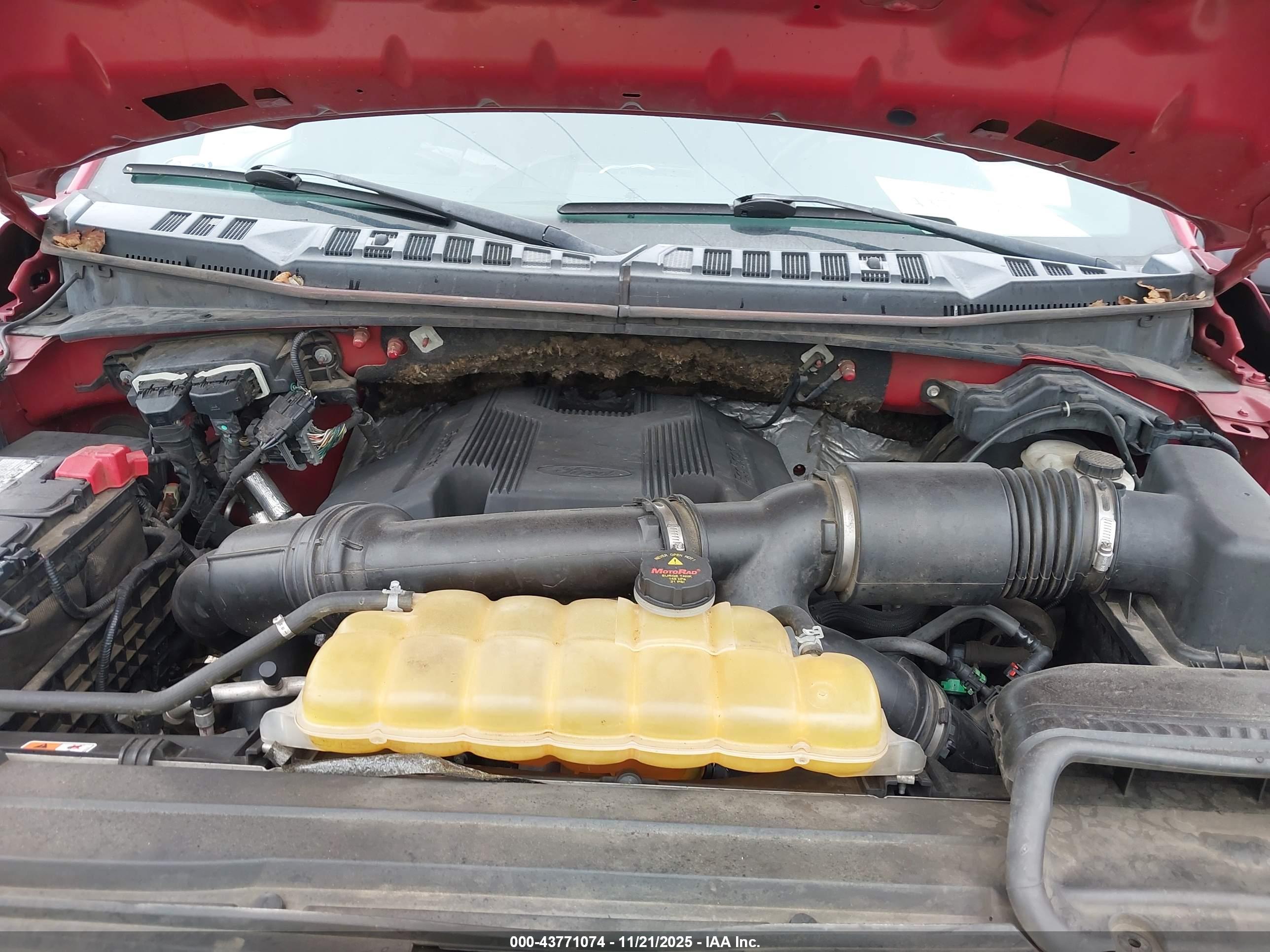 FORD F-150 image 10
