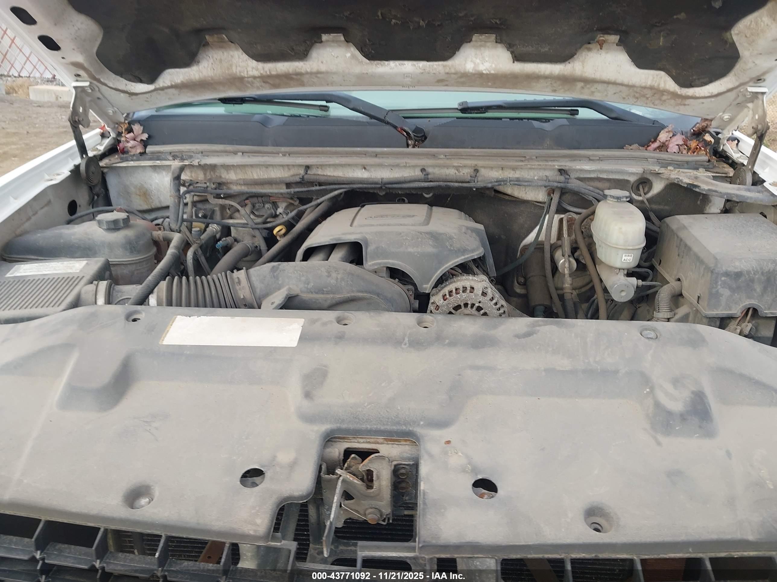 CHEVROLET SILVERADO image 10