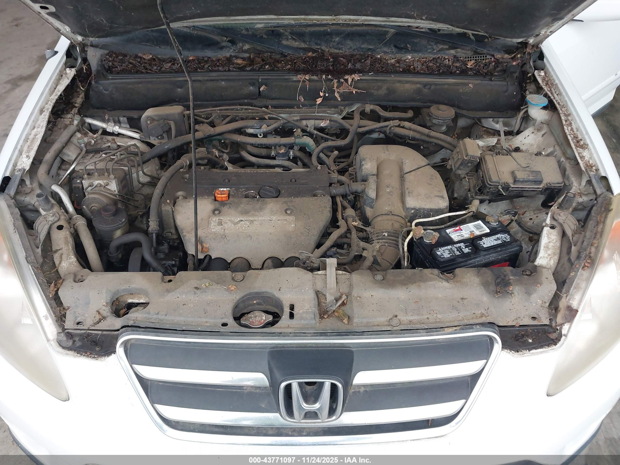 HONDA CR-V image 10