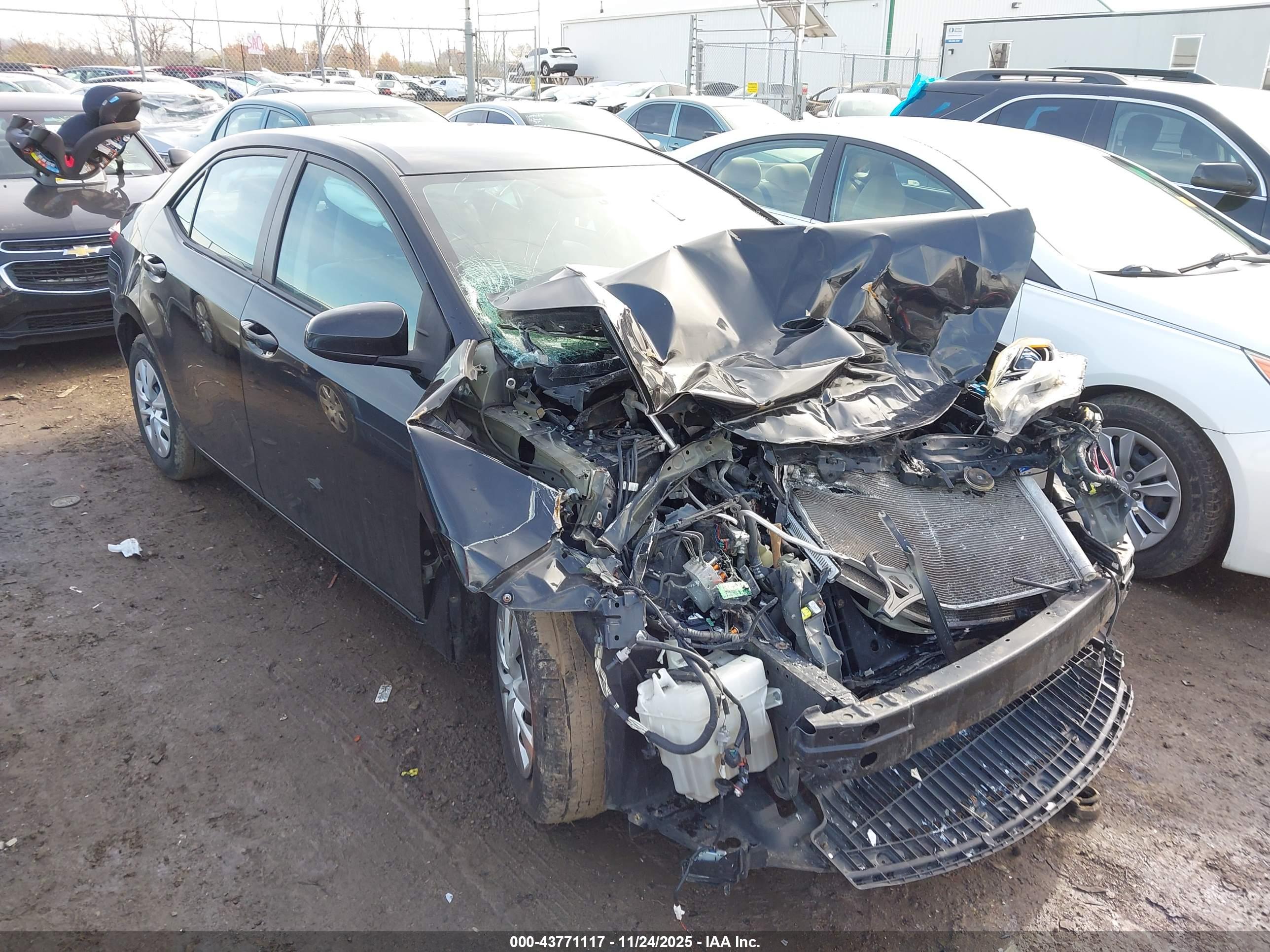 TOYOTA COROLLA image 6