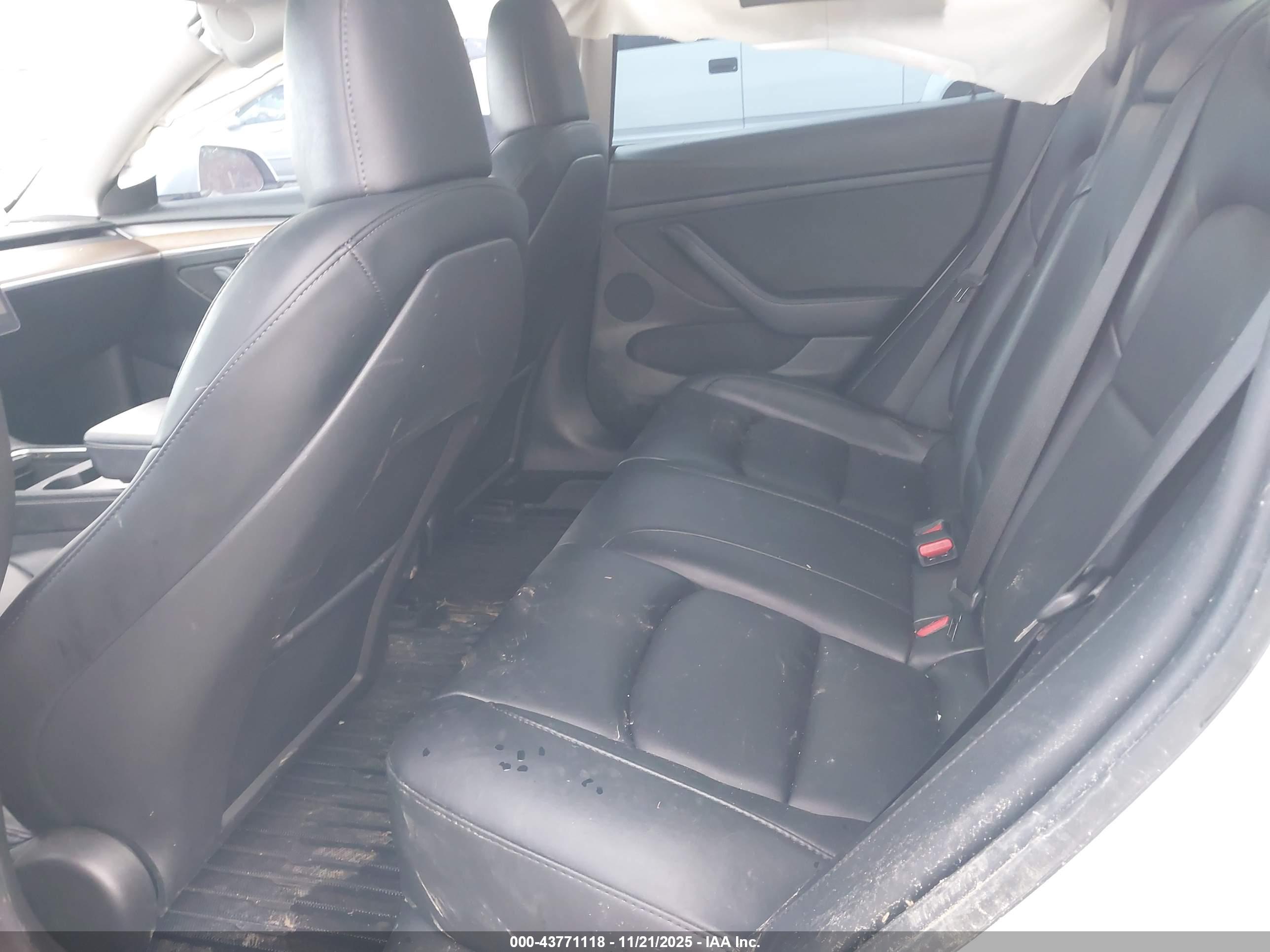 TESLA MODEL image 8