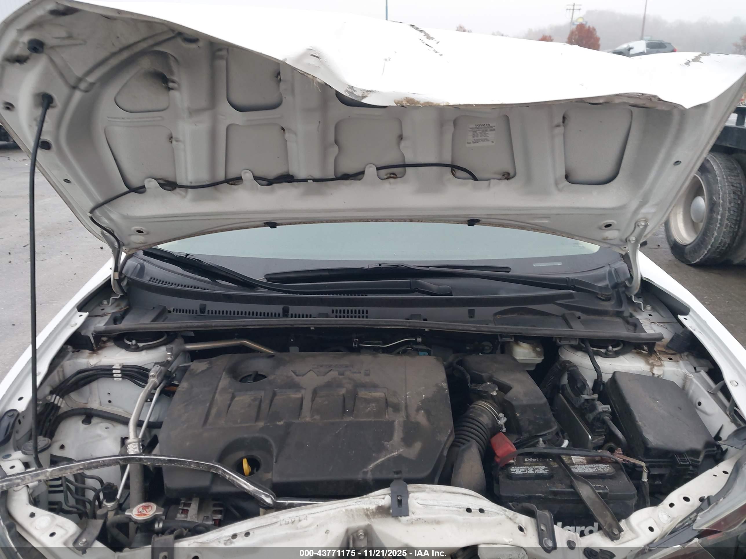 TOYOTA COROLLA image 10