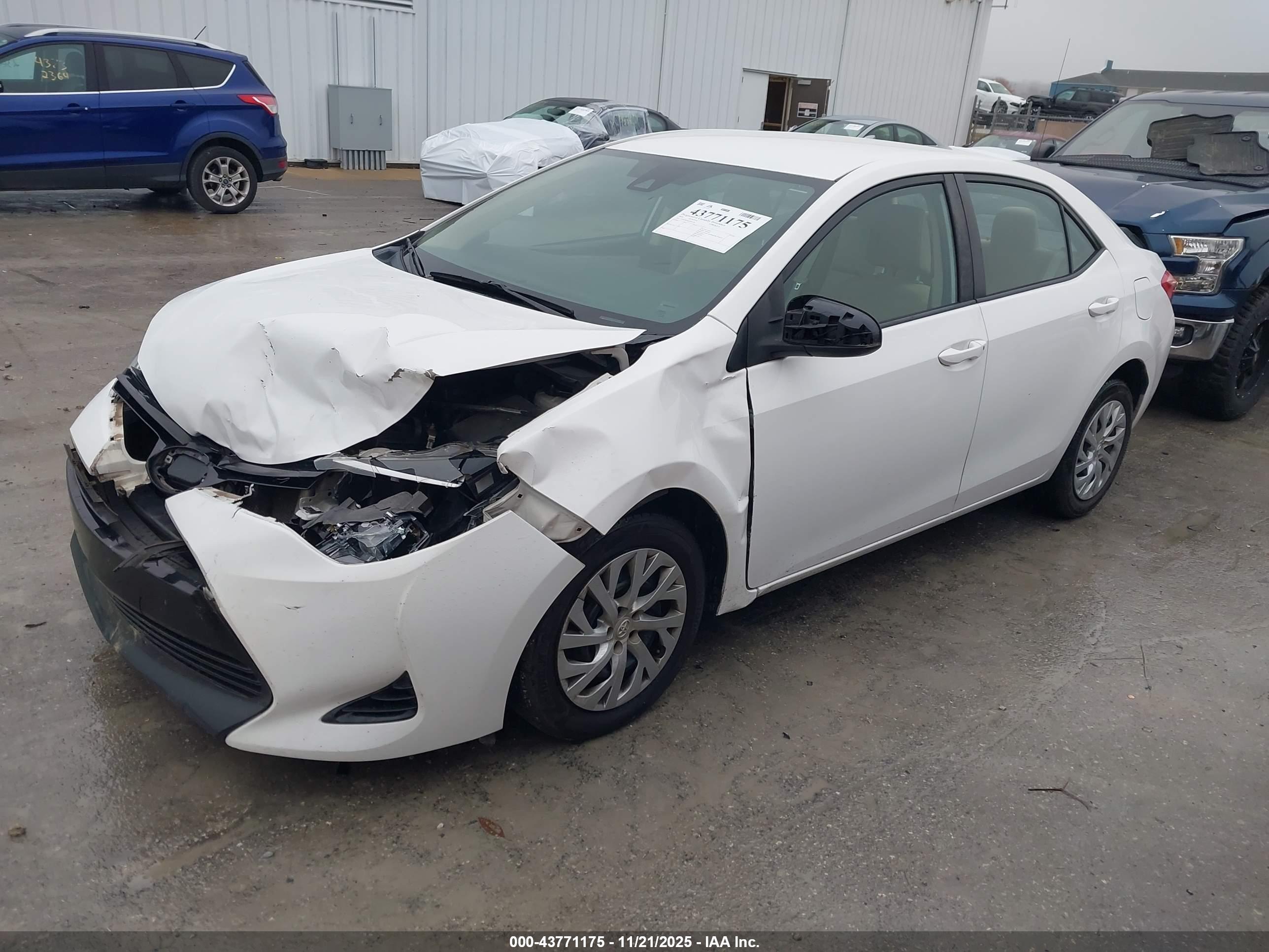 TOYOTA COROLLA image 2