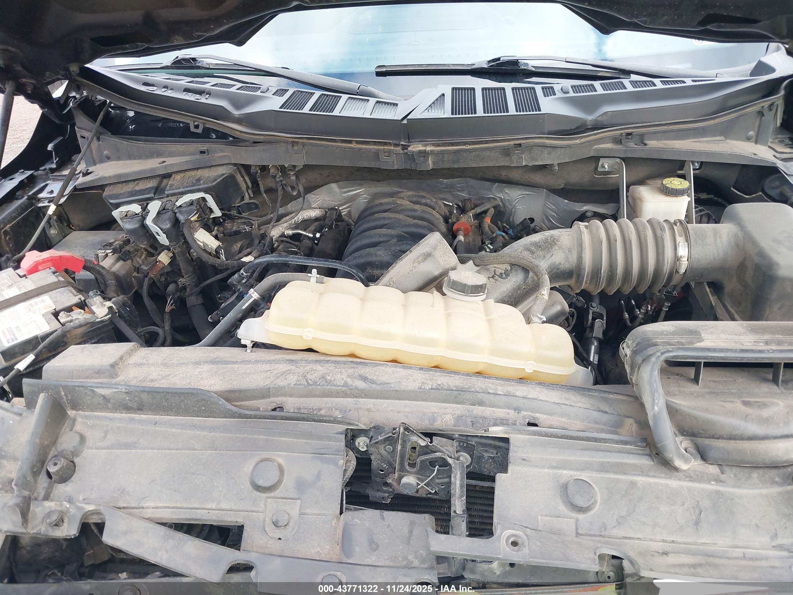 FORD F-150 image 10