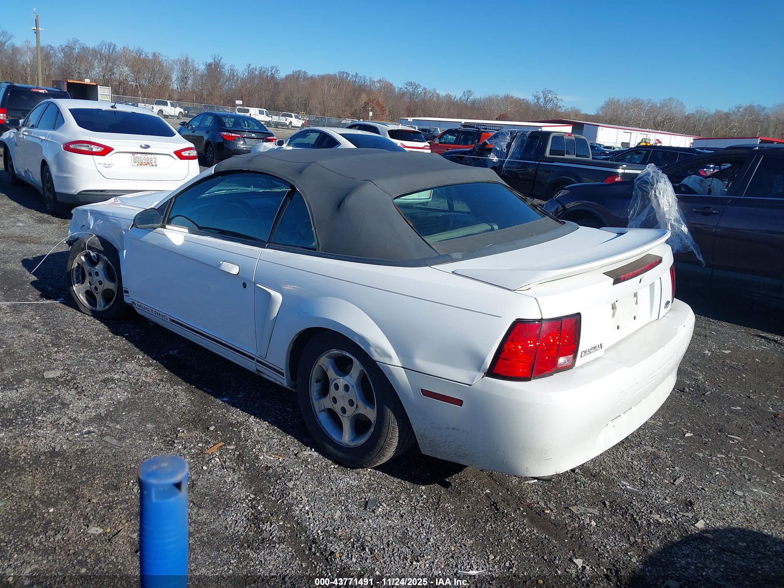 FORD MUSTANG image 3