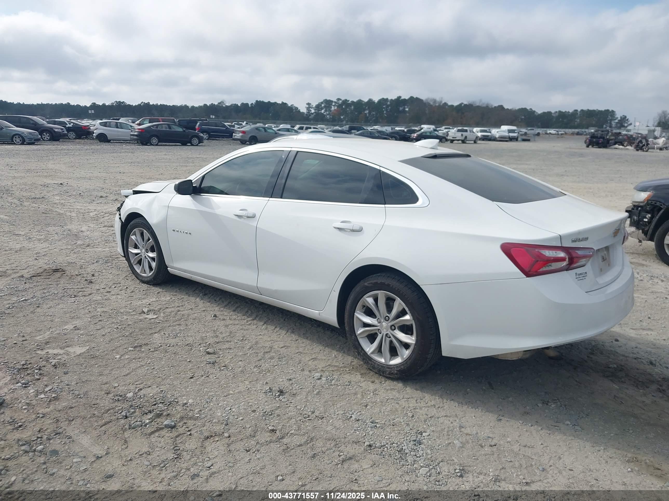 CHEVROLET MALIBU image 3