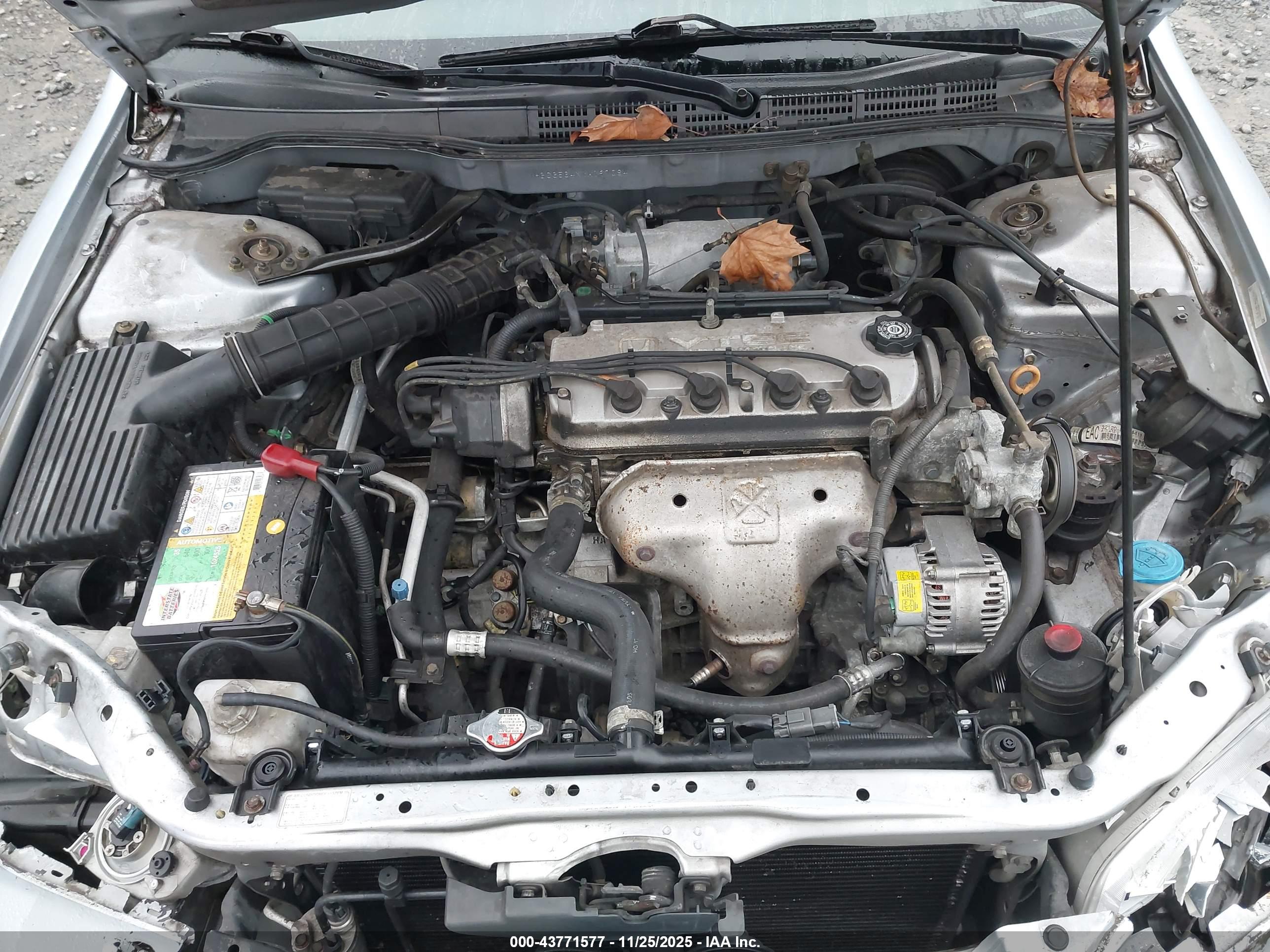 HONDA ACCORD image 10