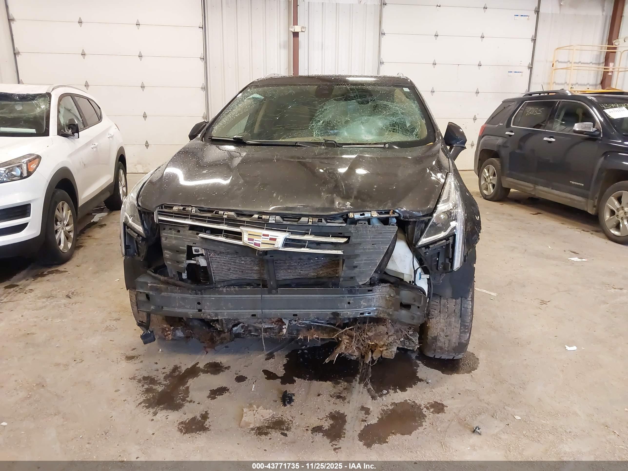 CADILLAC XT5 image 6