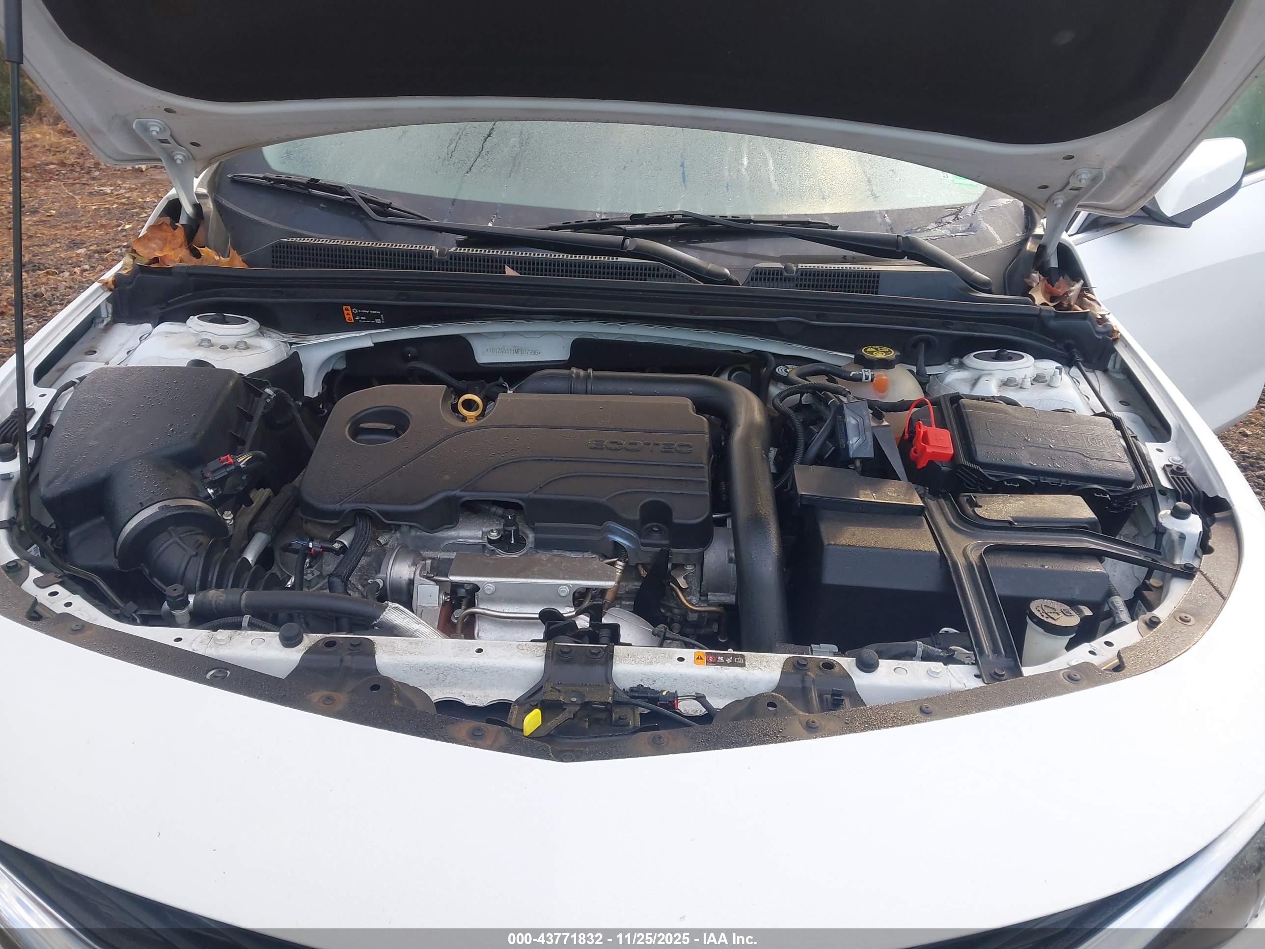 CHEVROLET MALIBU image 10