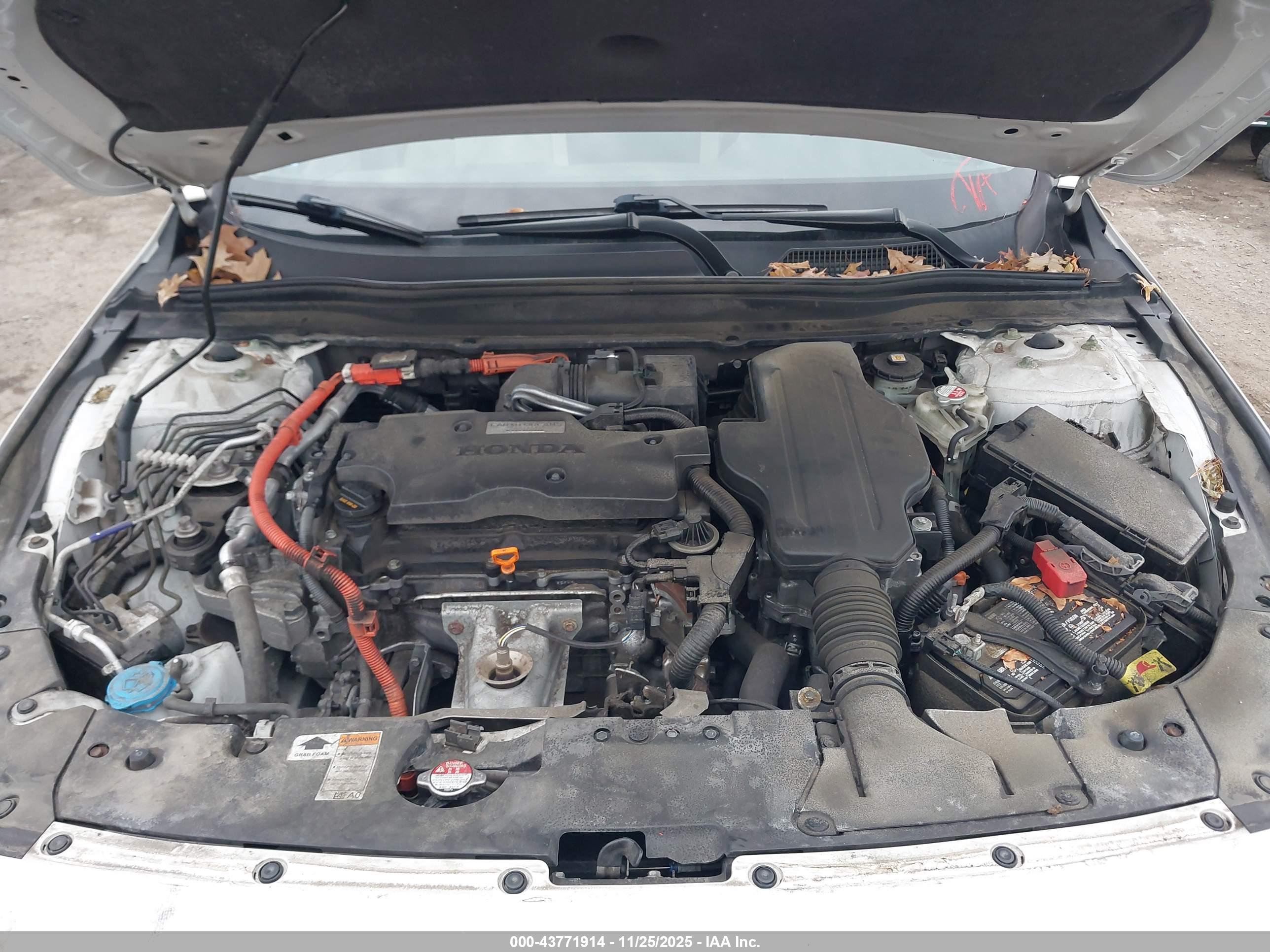 HONDA ACCORD image 10