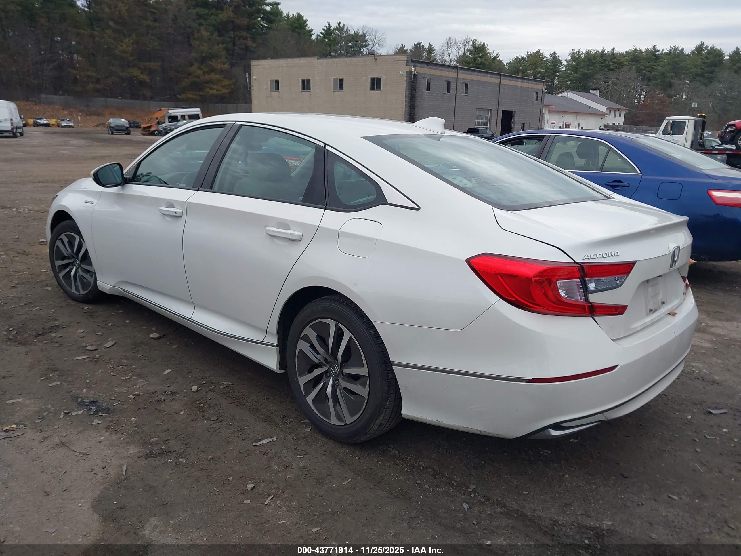 HONDA ACCORD image 3