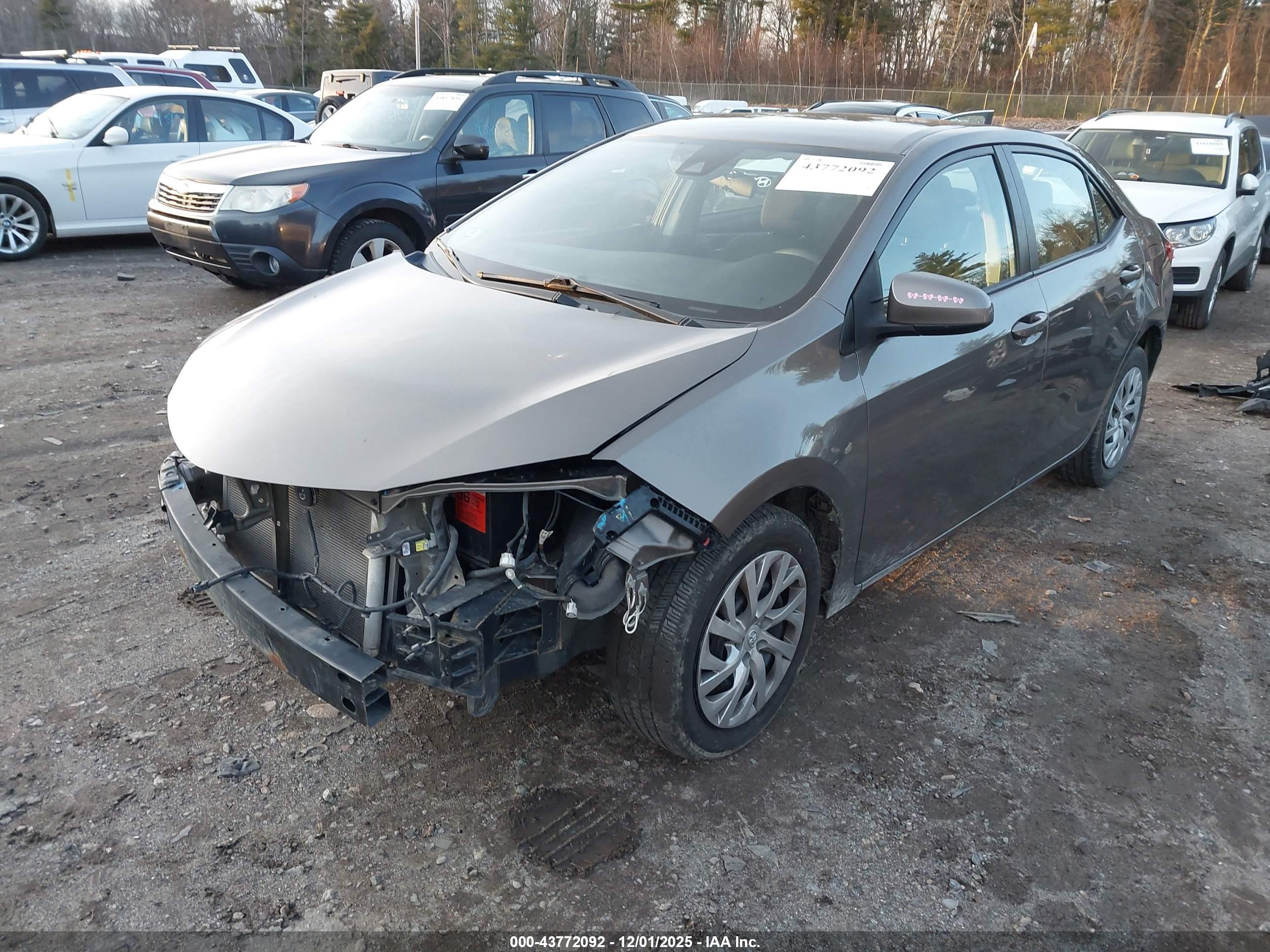 TOYOTA COROLLA image 2