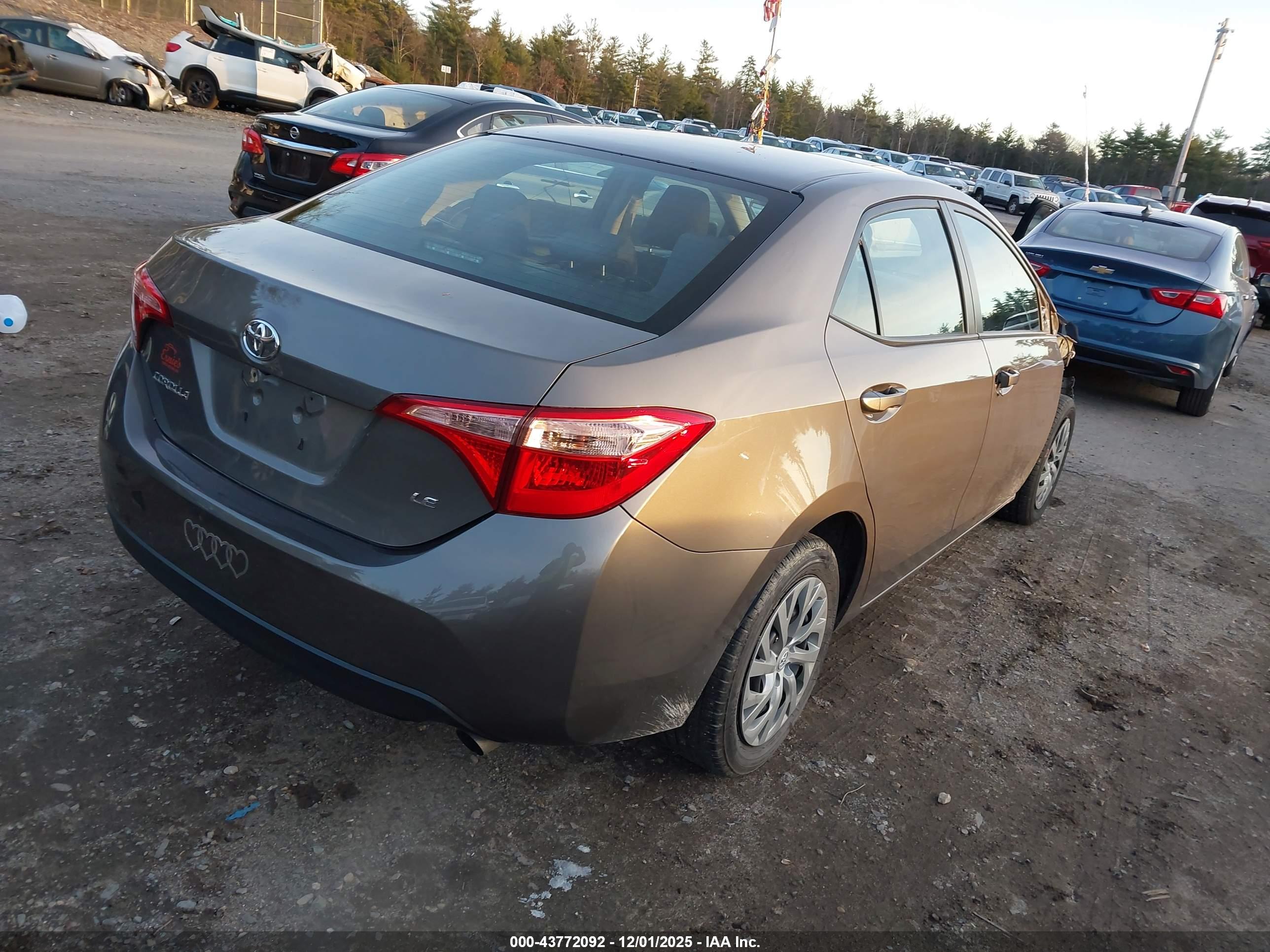 TOYOTA COROLLA image 4