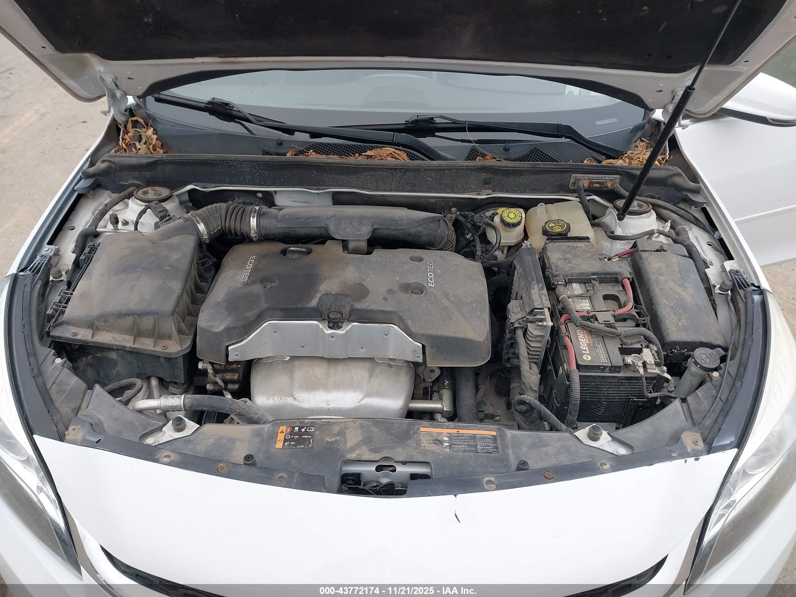 CHEVROLET MALIBU image 10