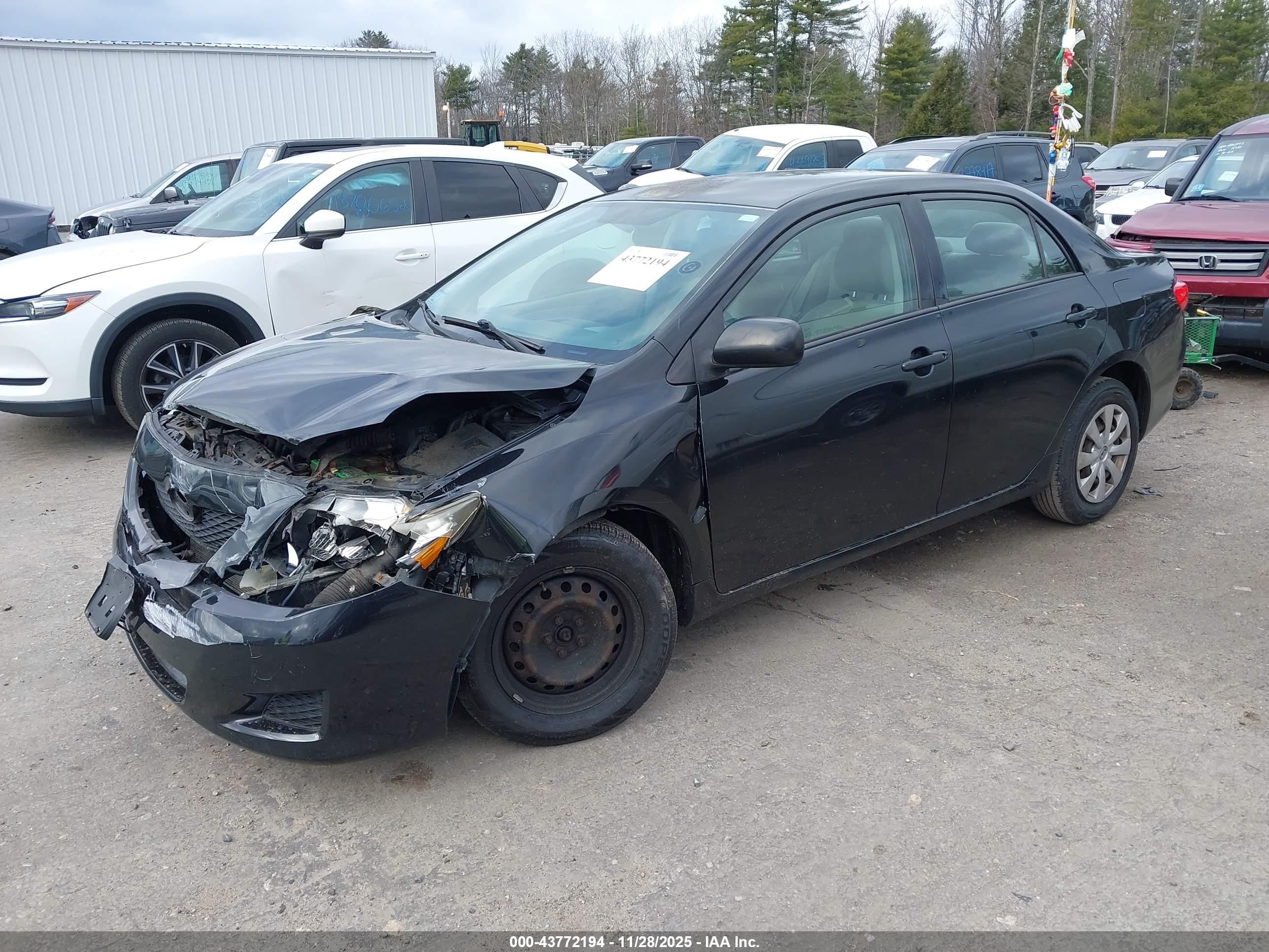 TOYOTA COROLLA image 2
