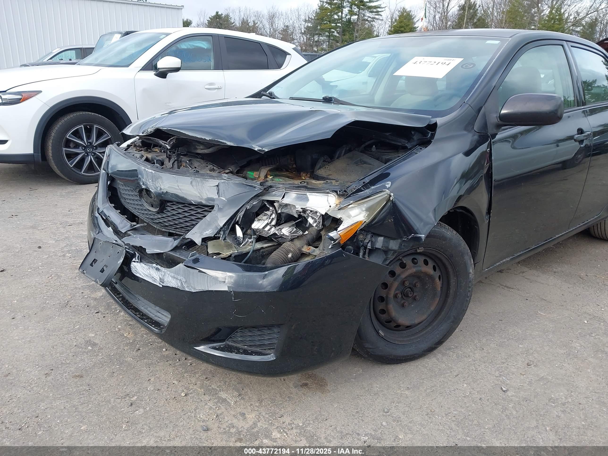TOYOTA COROLLA image 6