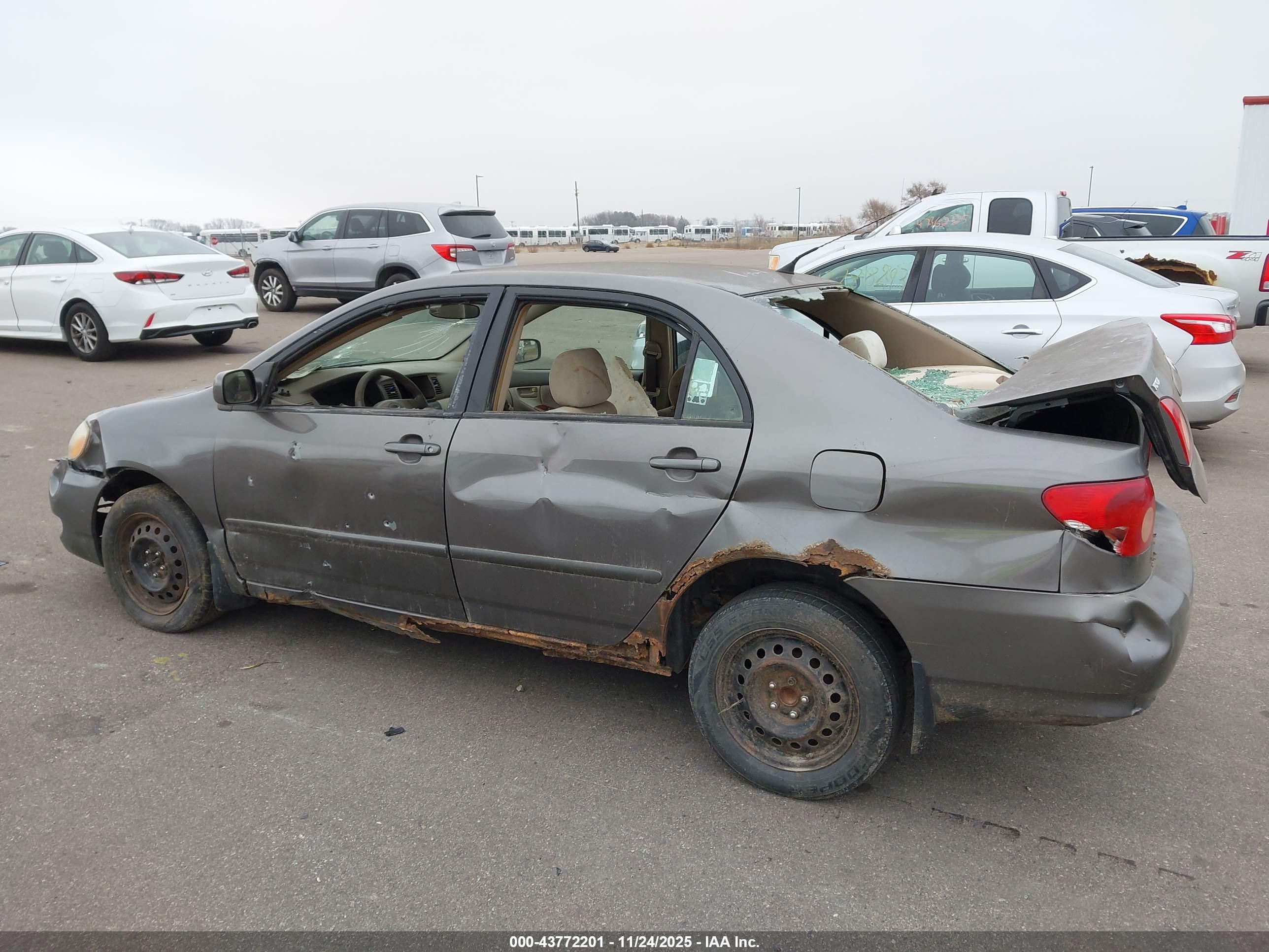TOYOTA COROLLA image 6
