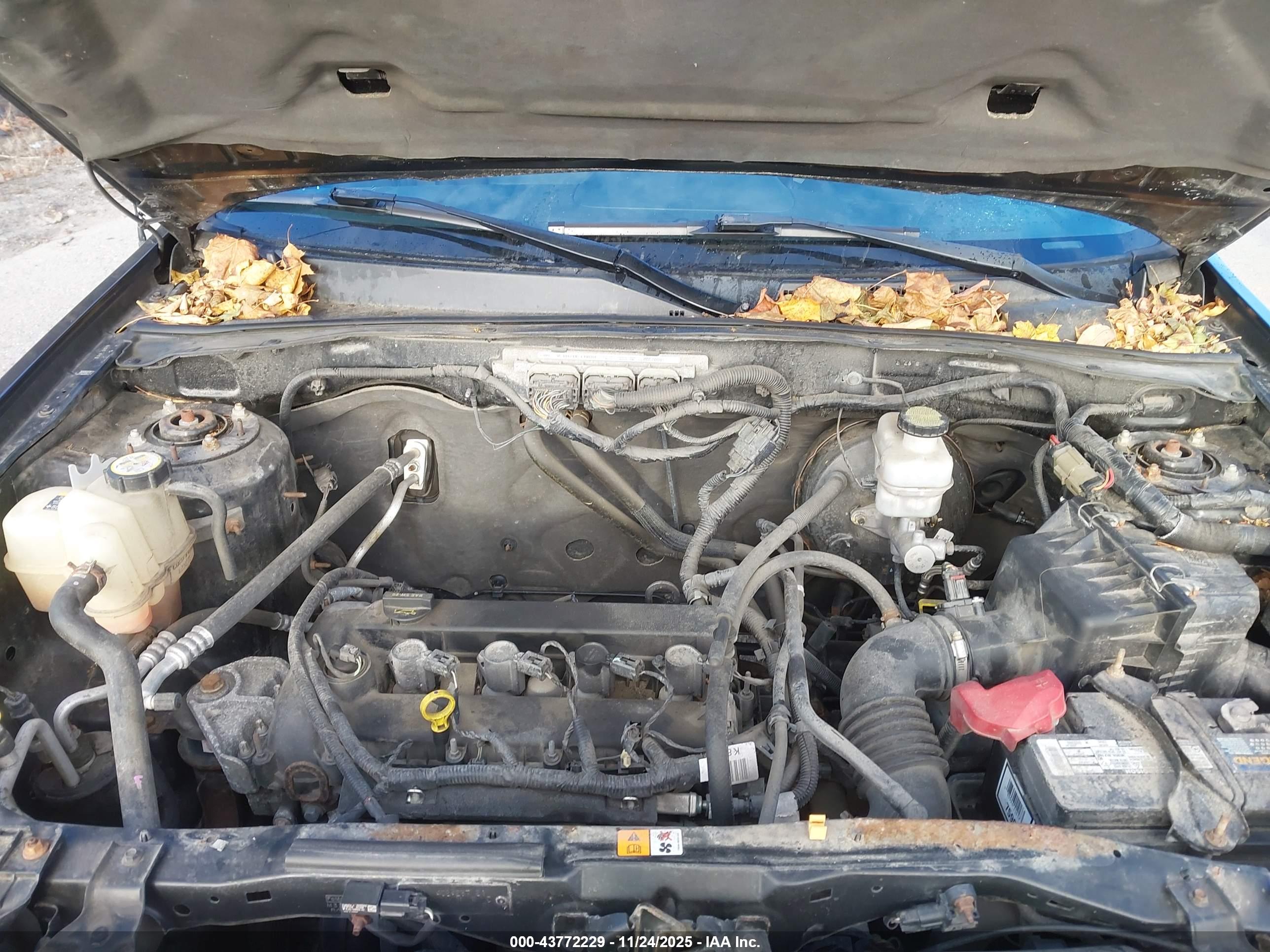 FORD ESCAPE image 10