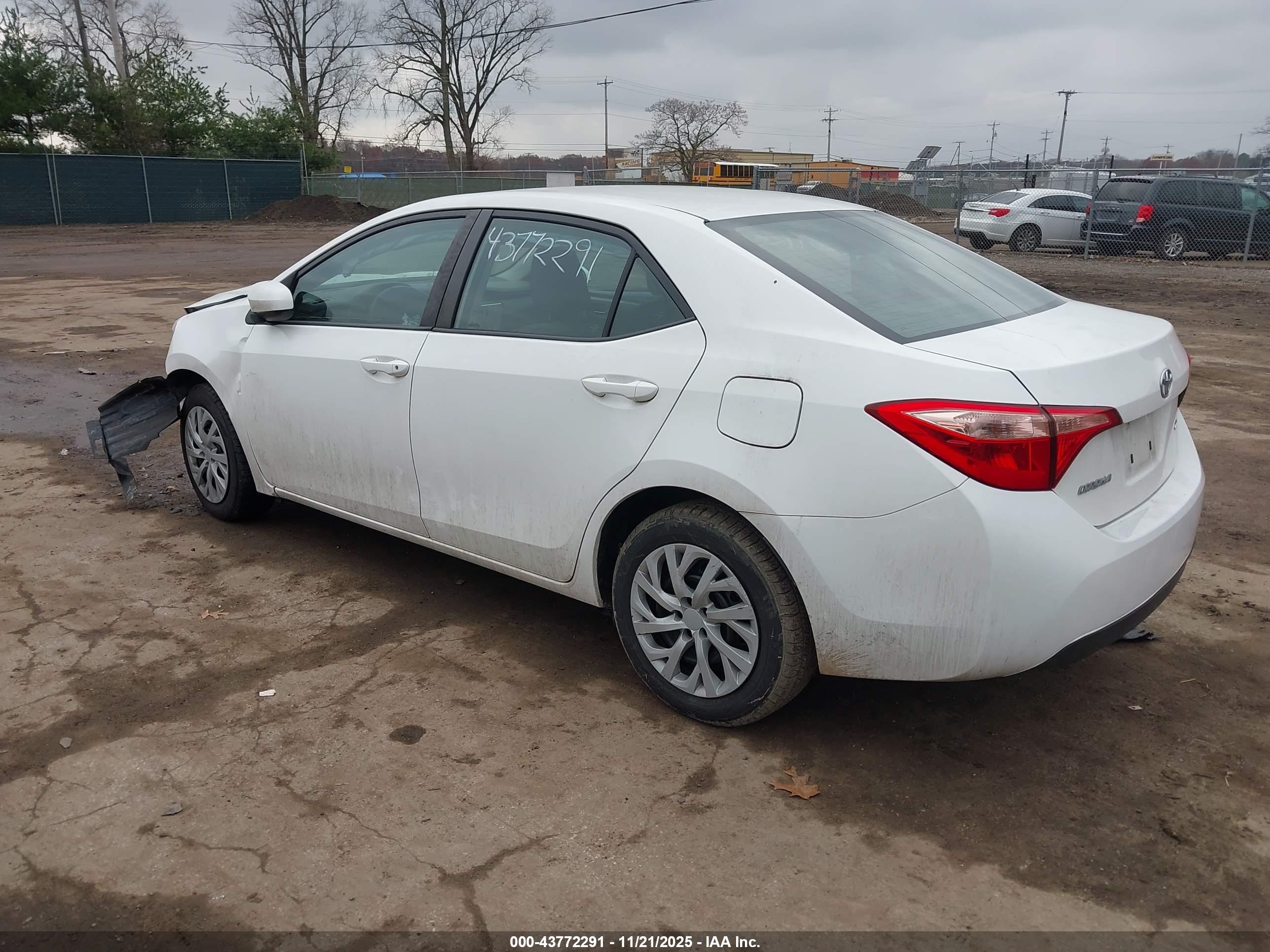 TOYOTA COROLLA image 3