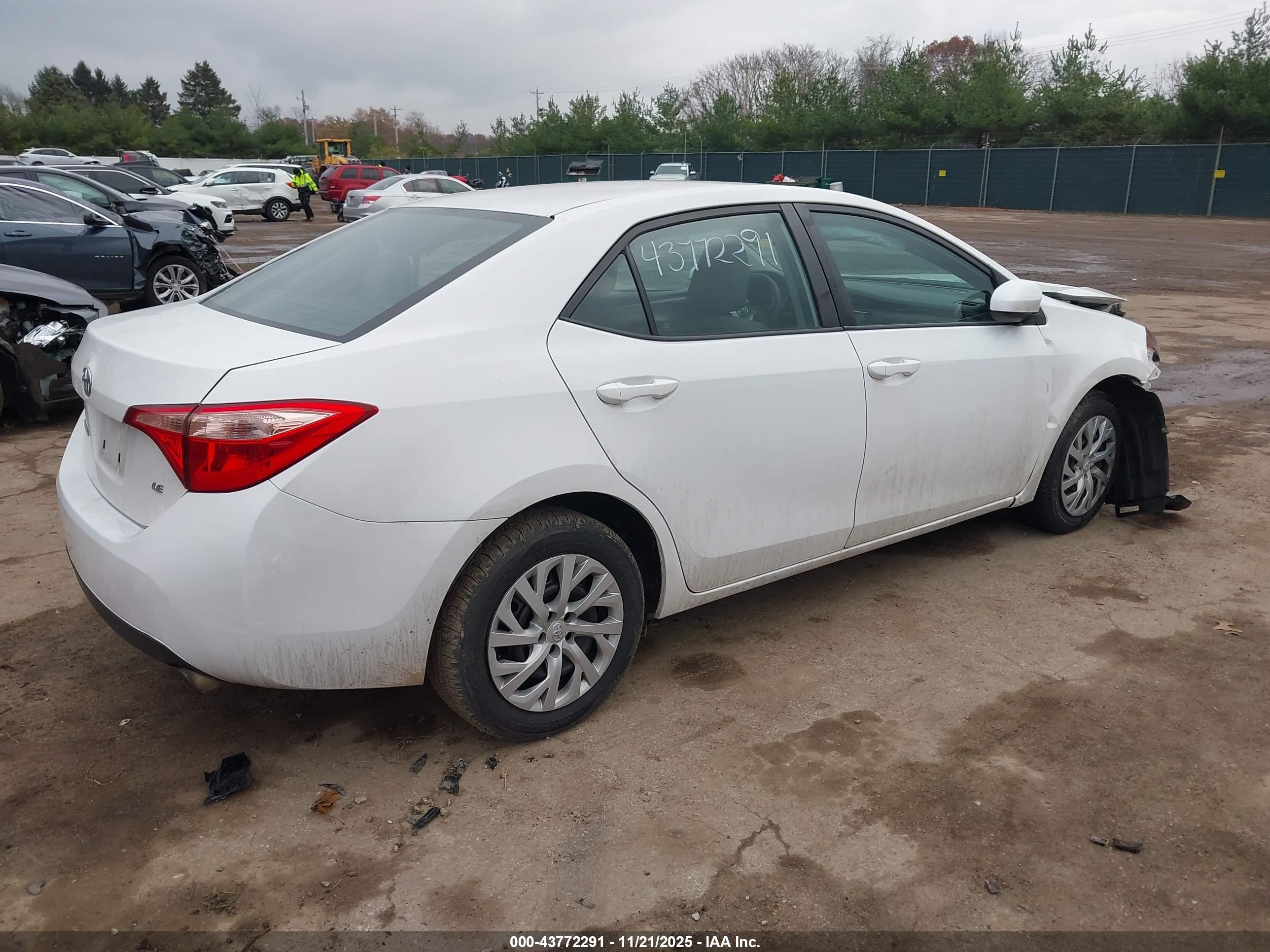 TOYOTA COROLLA image 4