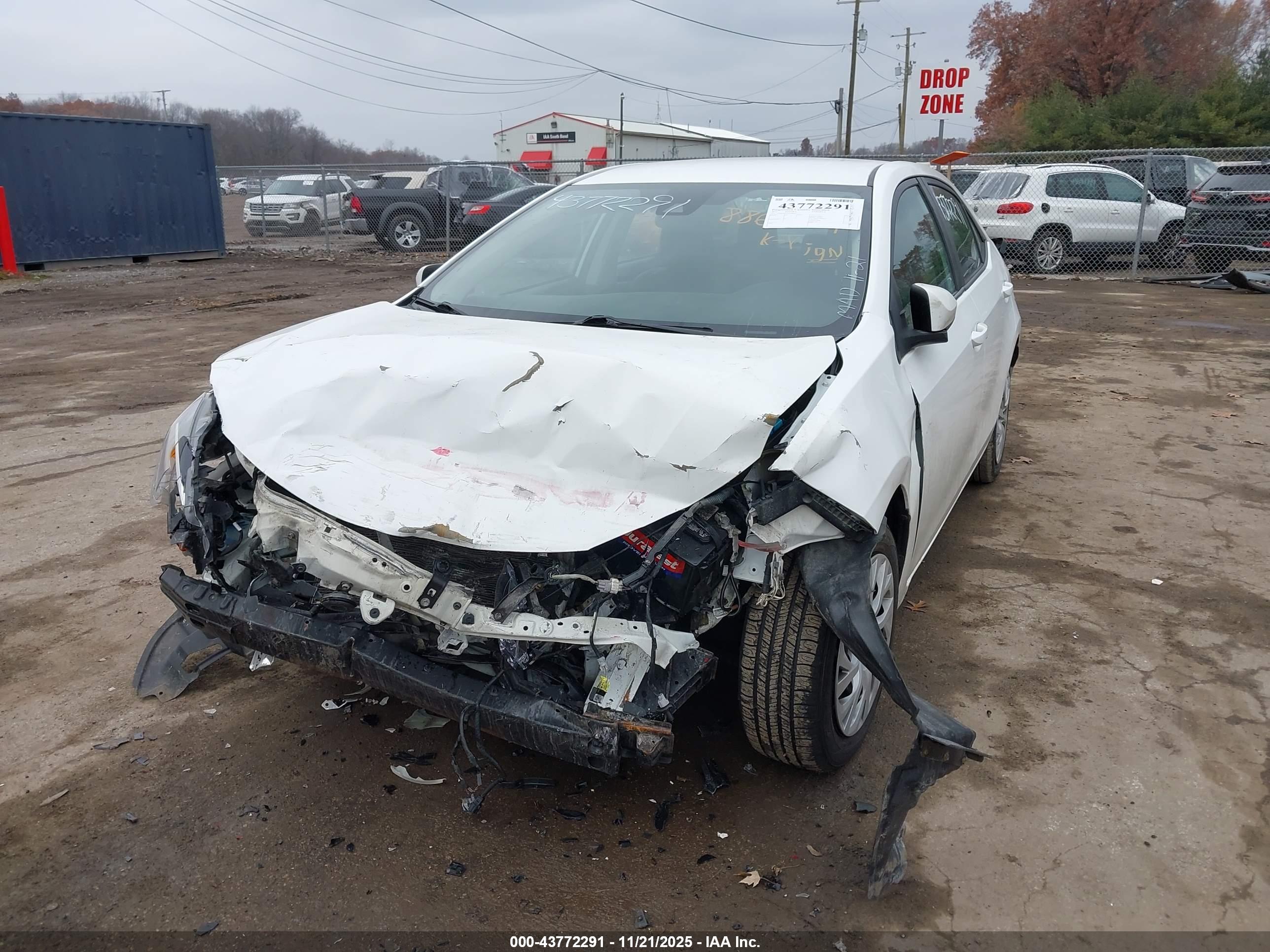 TOYOTA COROLLA image 6