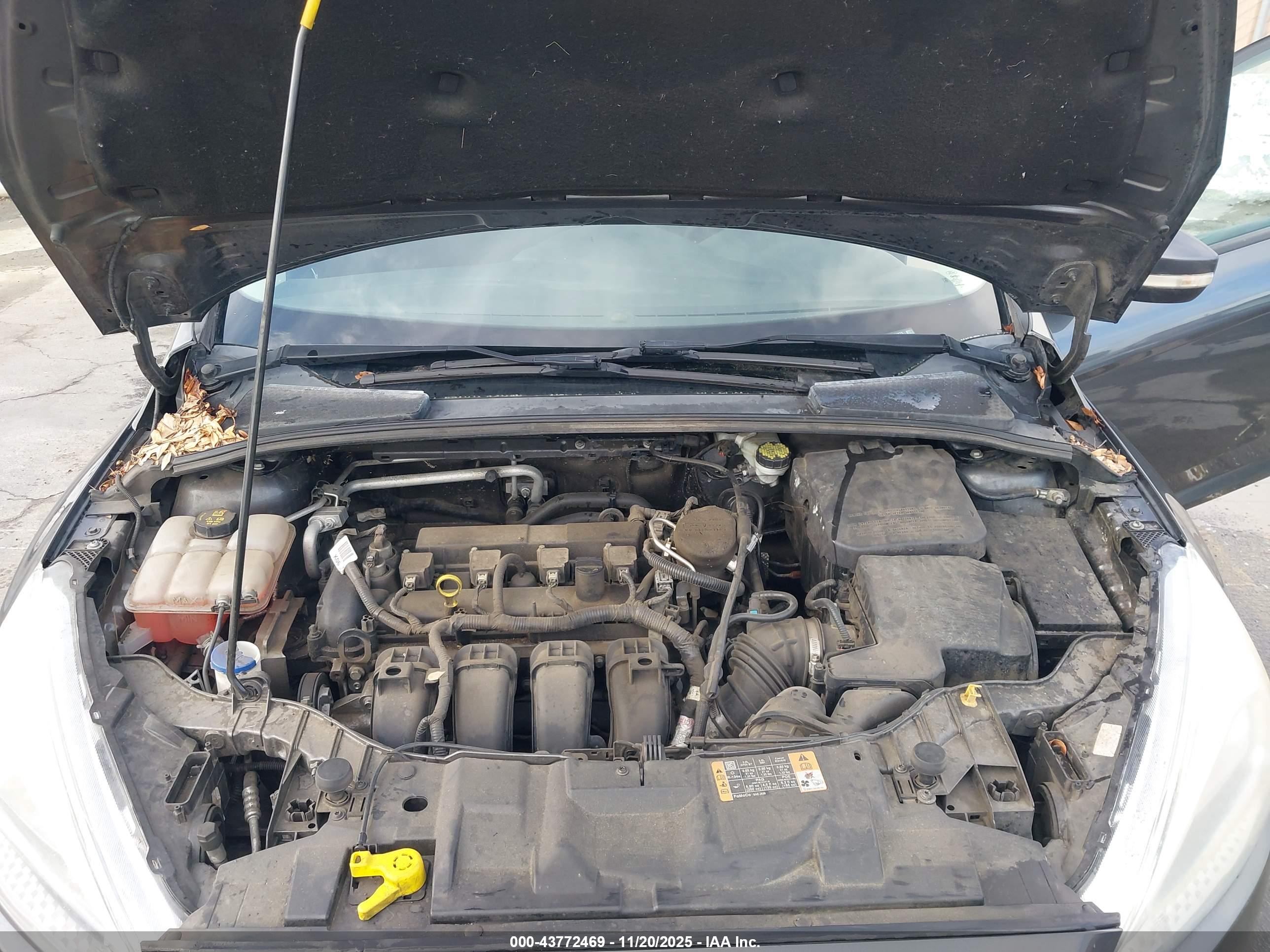 FORD FOCUS image 10