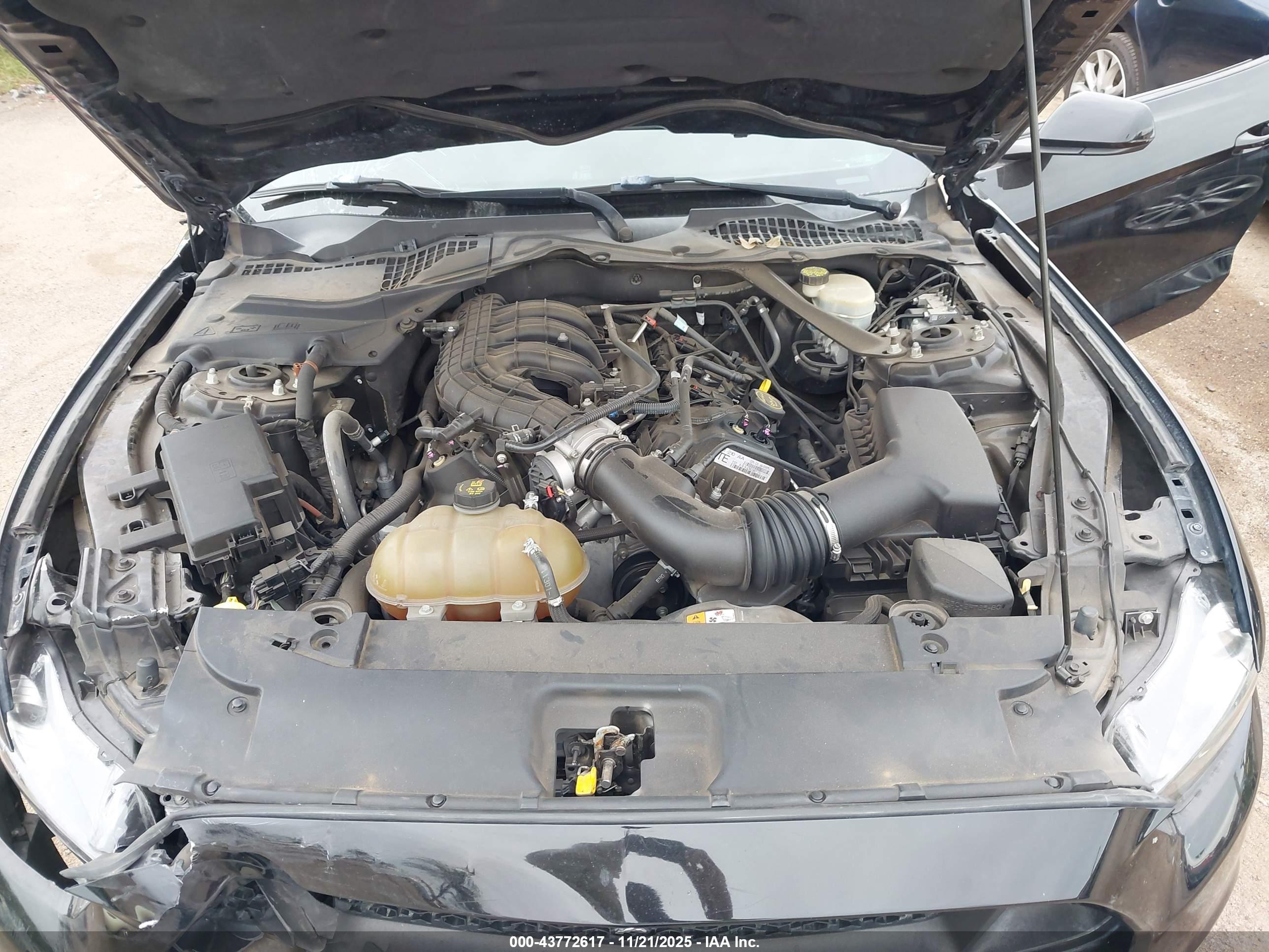 FORD MUSTANG image 10