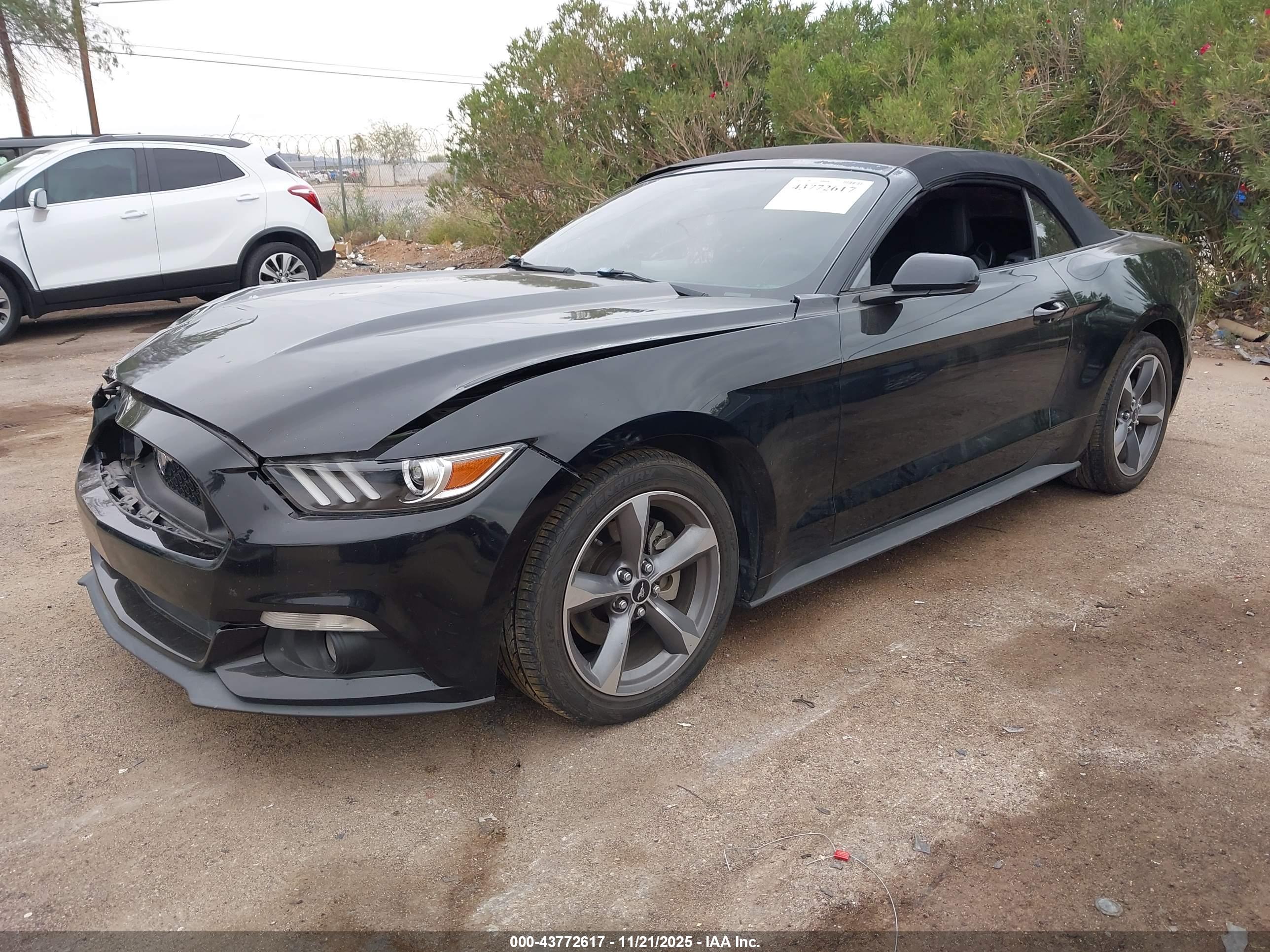 FORD MUSTANG image 2