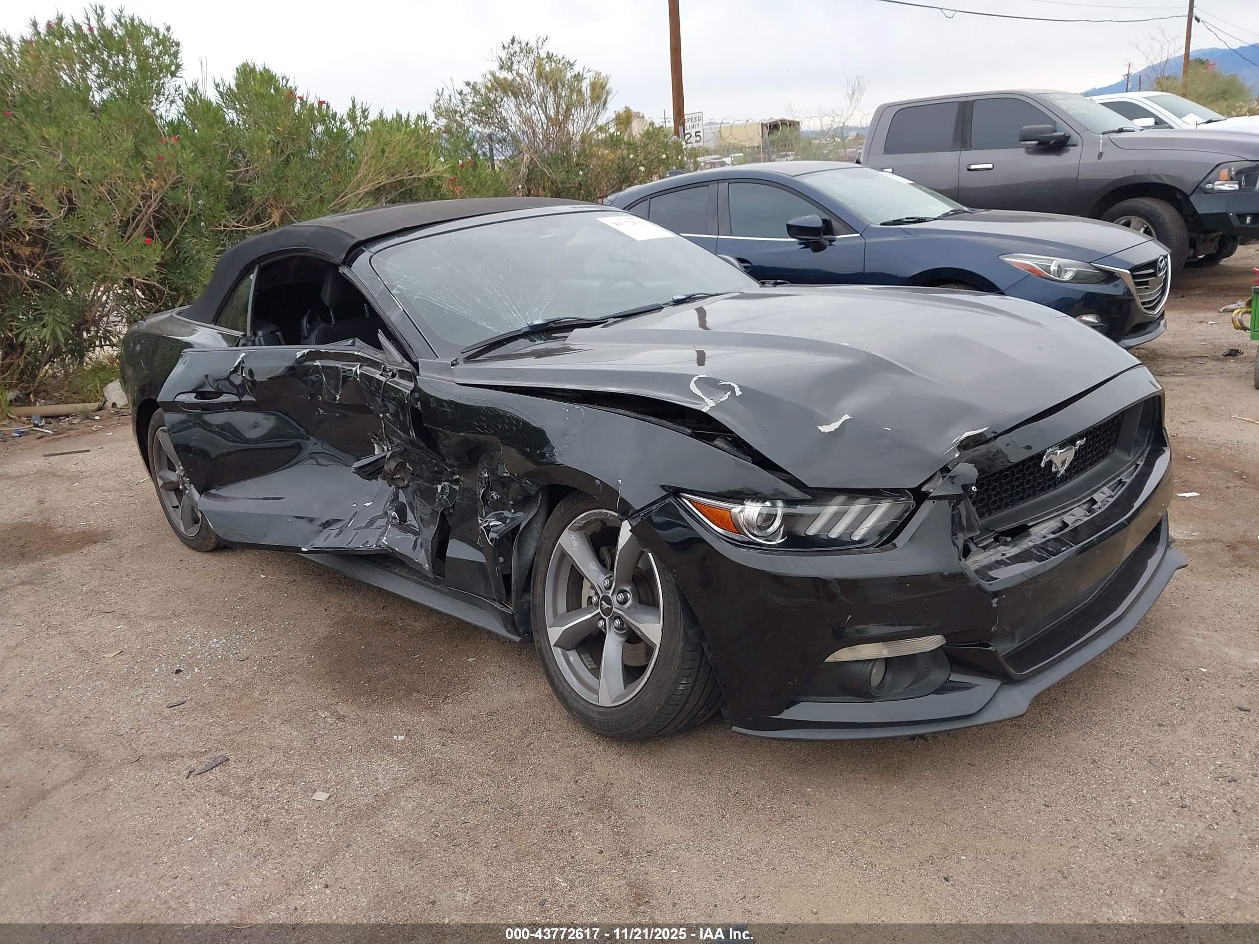 FORD MUSTANG image 6