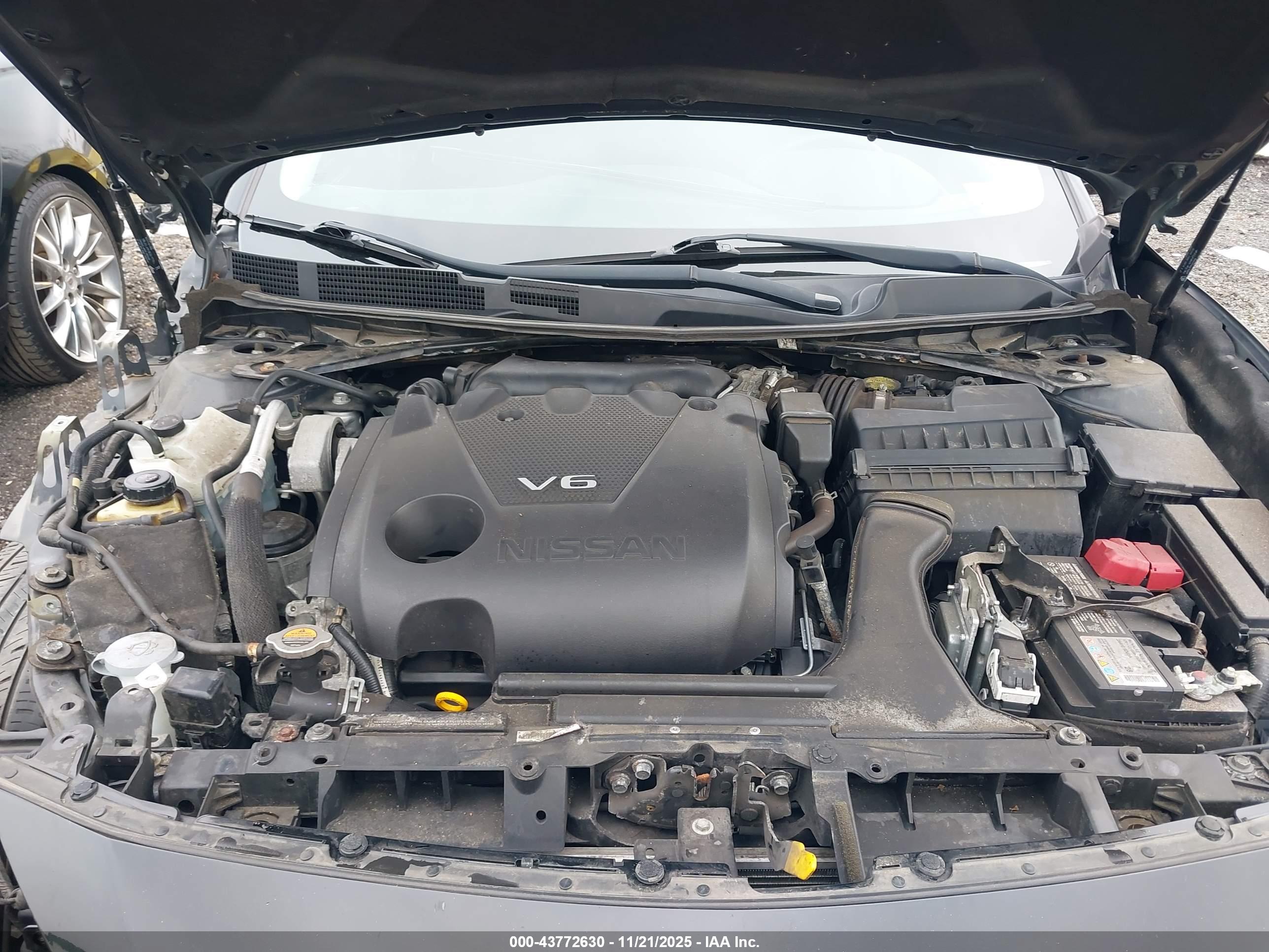NISSAN MAXIMA image 10