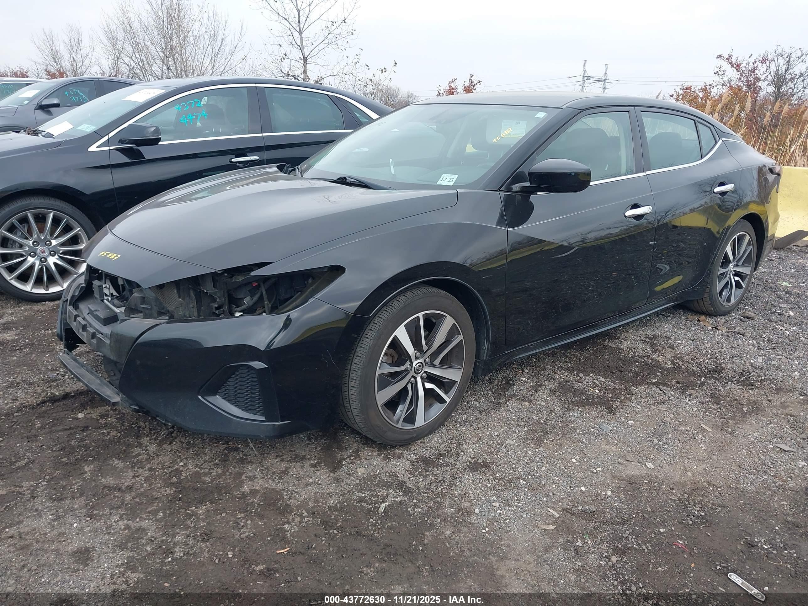 NISSAN MAXIMA image 2