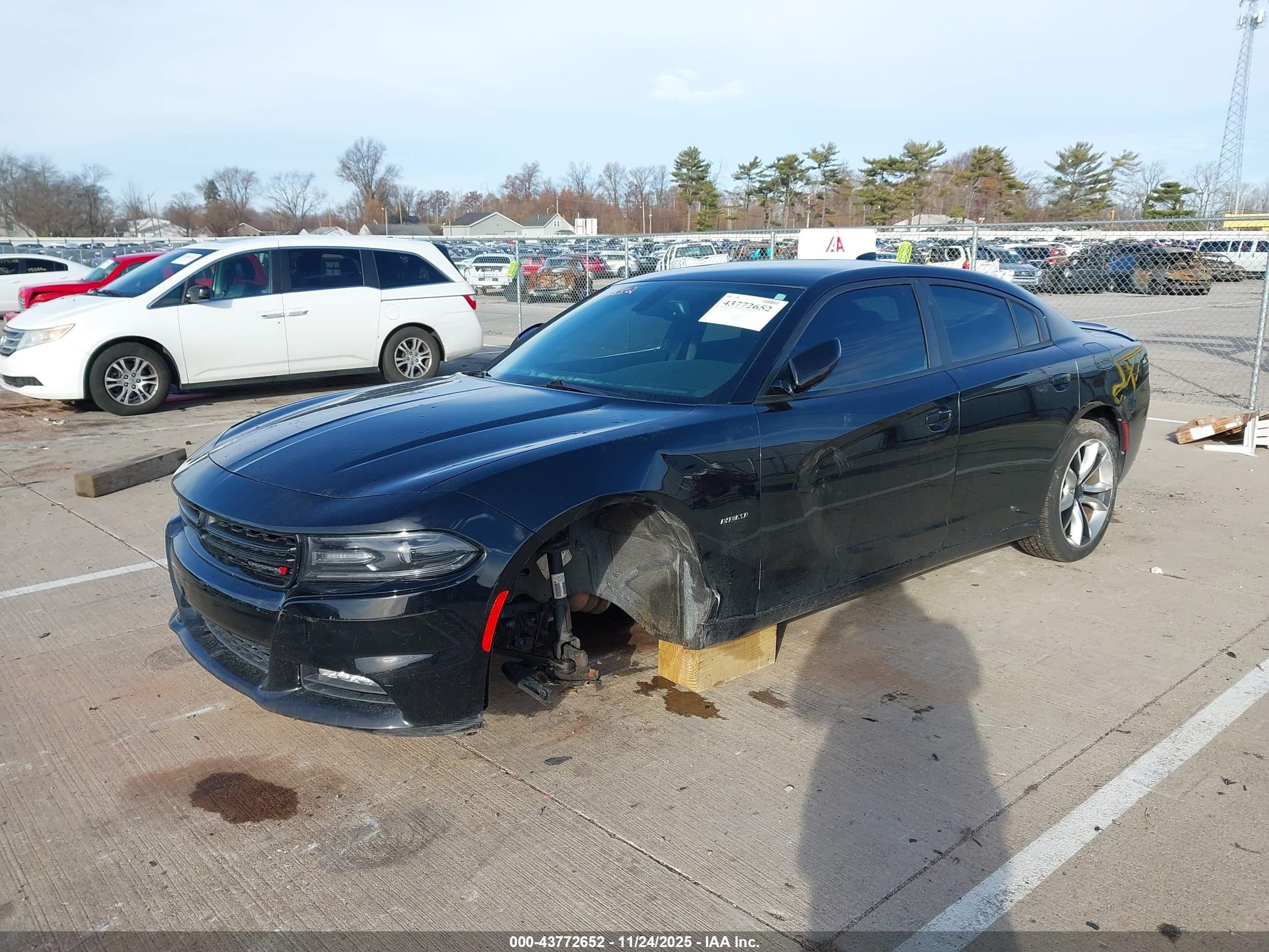DODGE CHARGER image 2