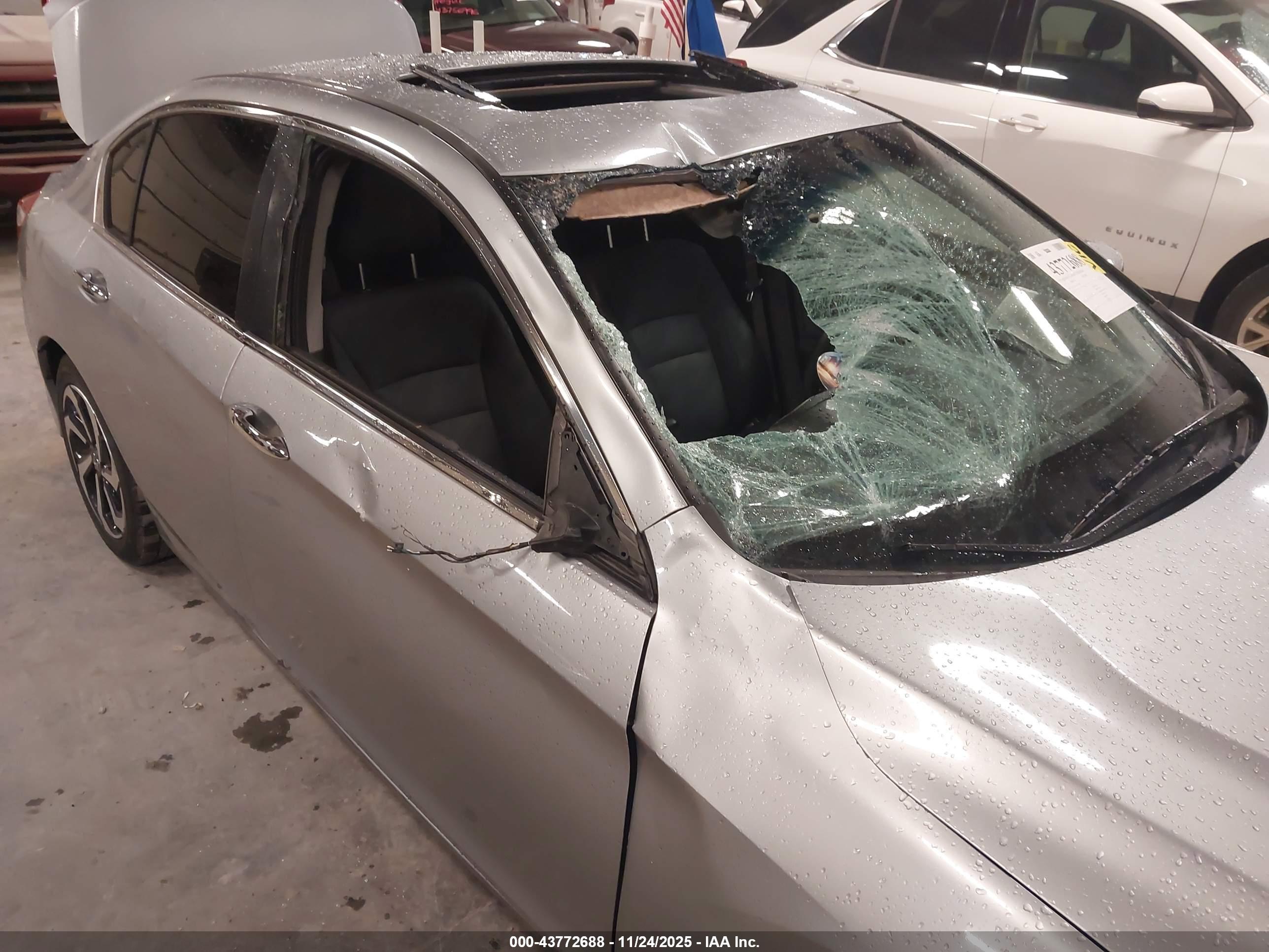 HONDA ACCORD image 6