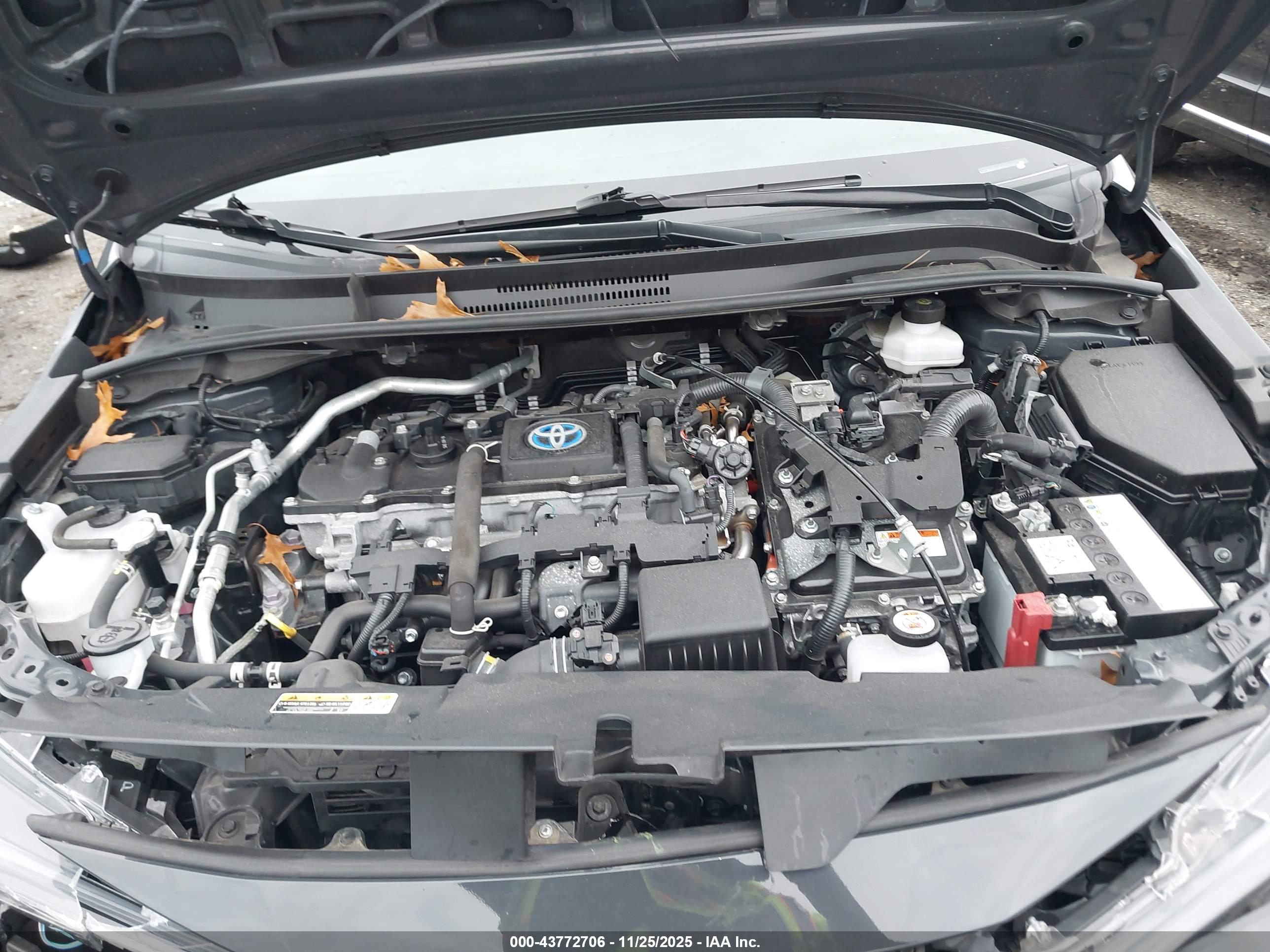 TOYOTA COROLLA image 10