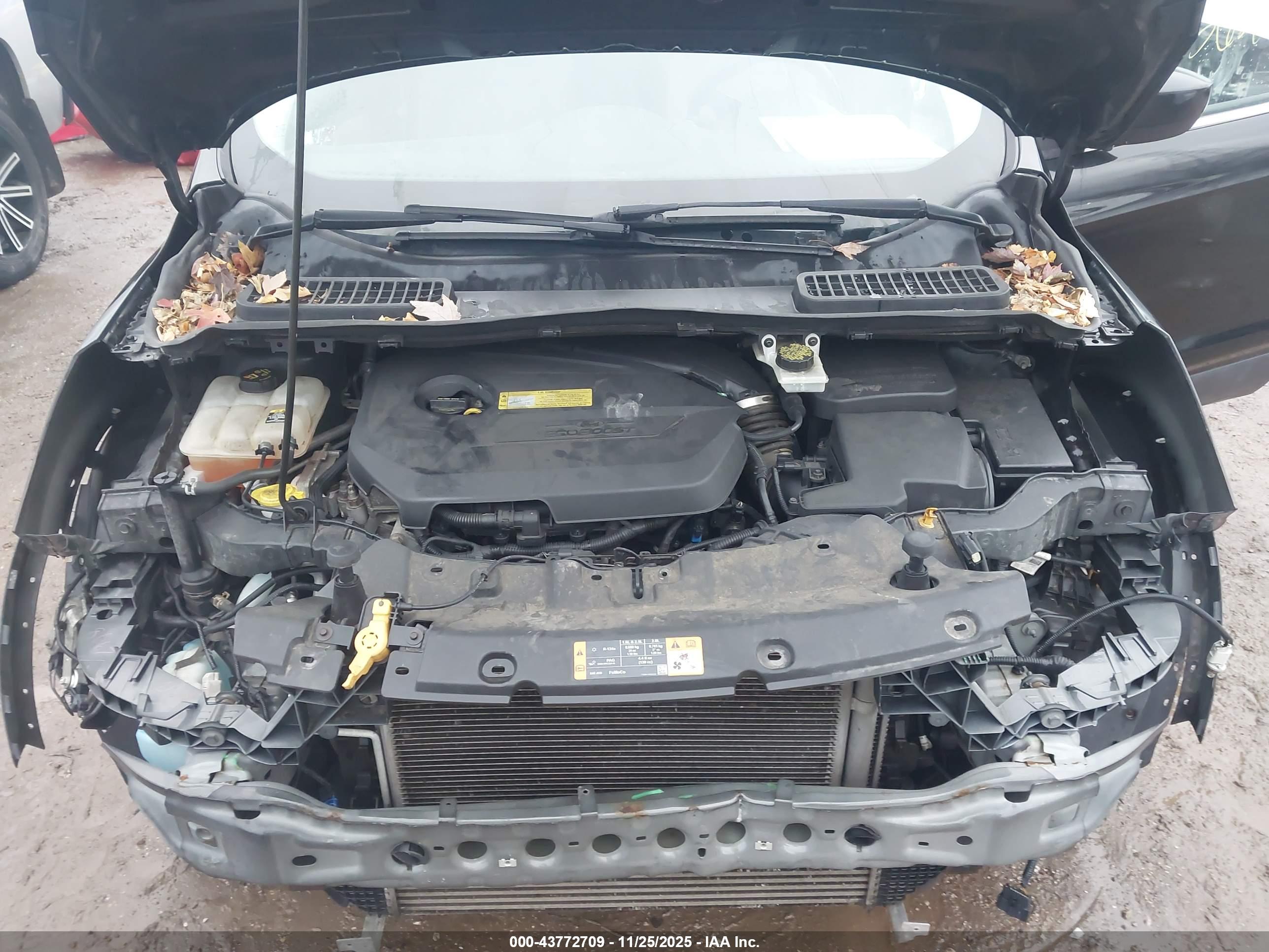 FORD ESCAPE image 10