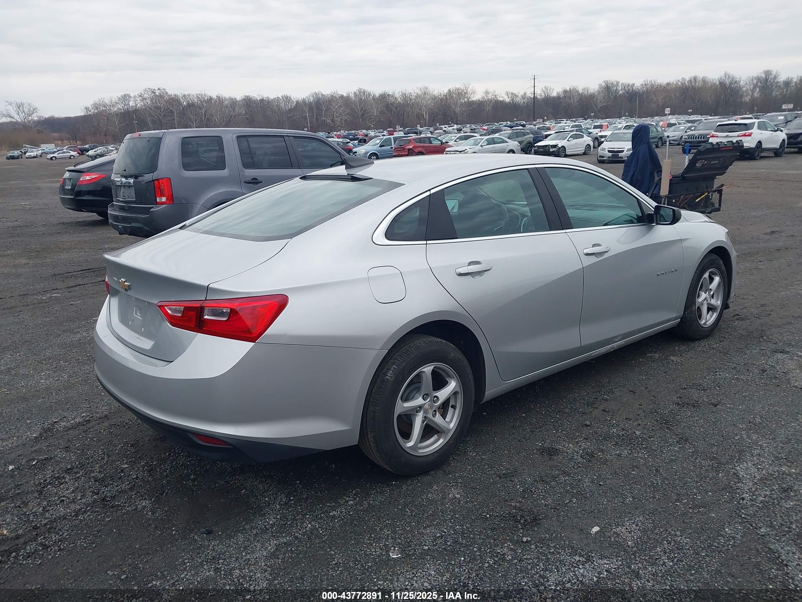 CHEVROLET MALIBU image 4