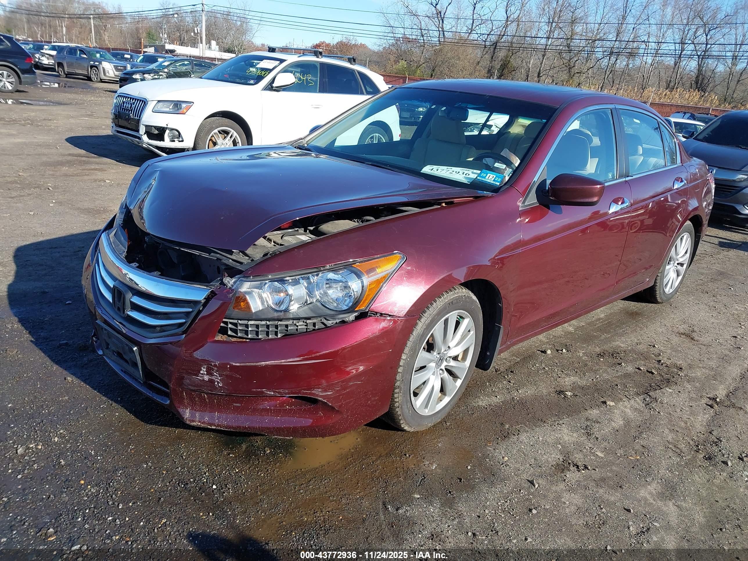 HONDA ACCORD image 2