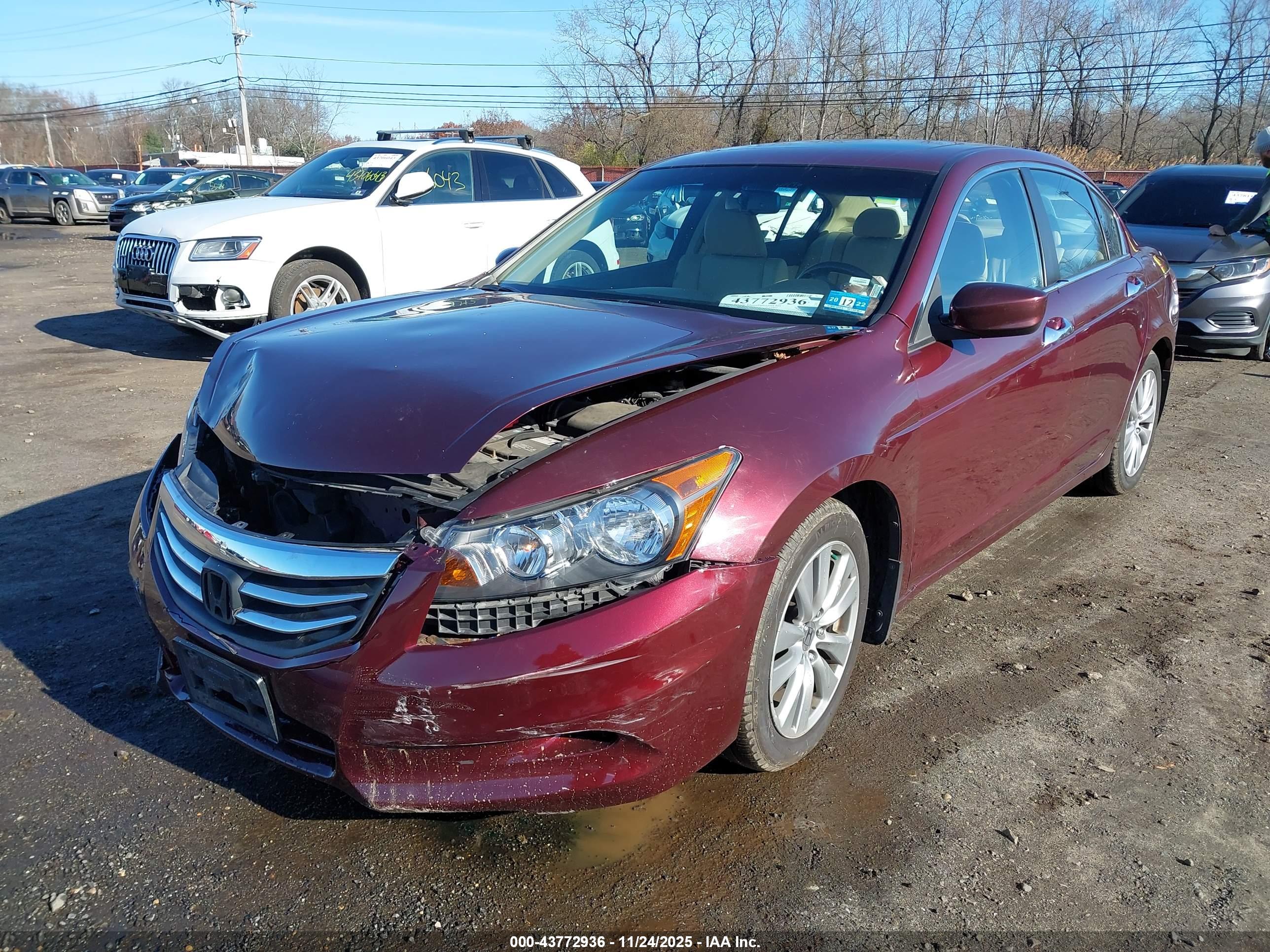HONDA ACCORD image 6