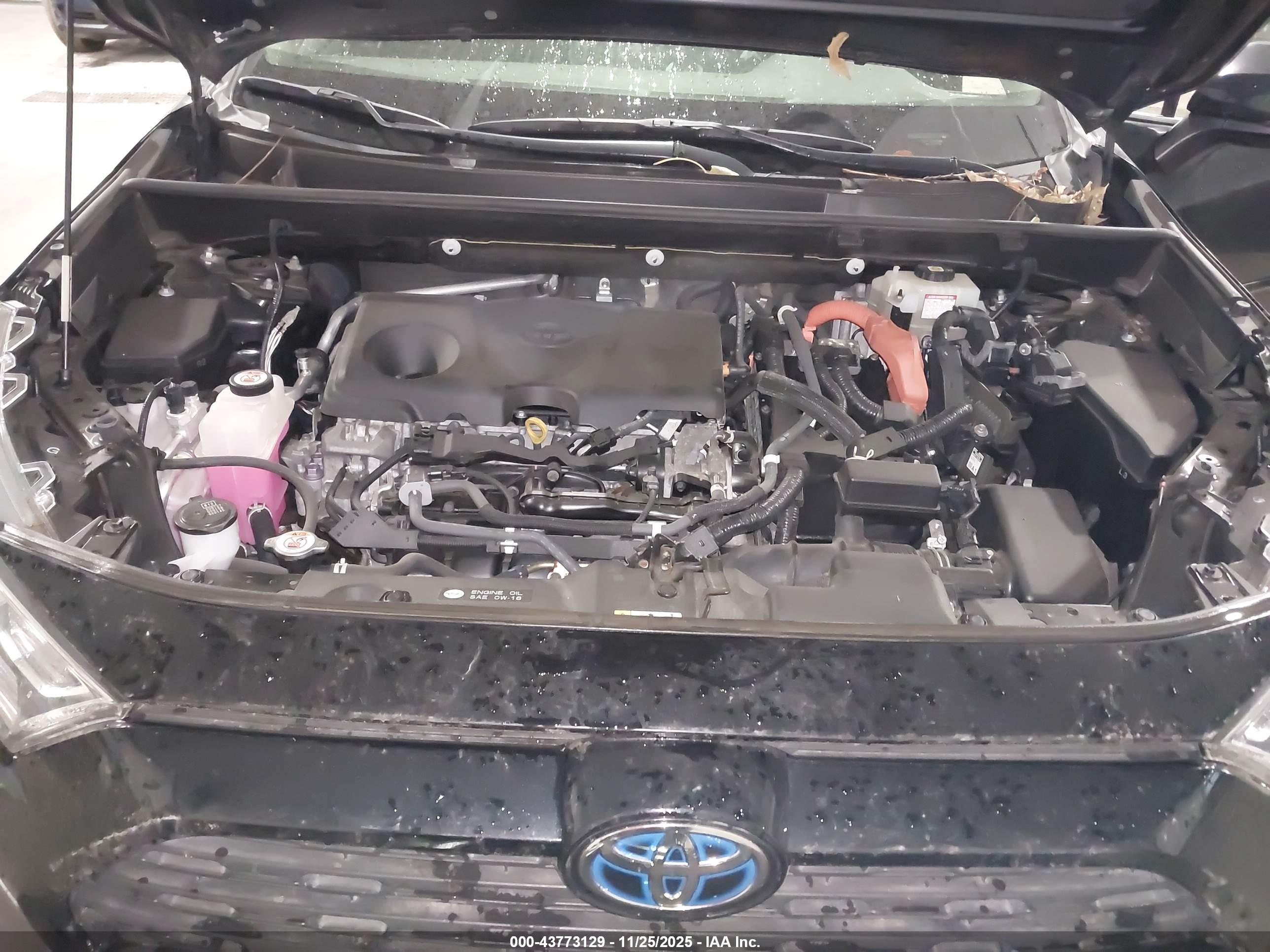 TOYOTA RAV4 image 10