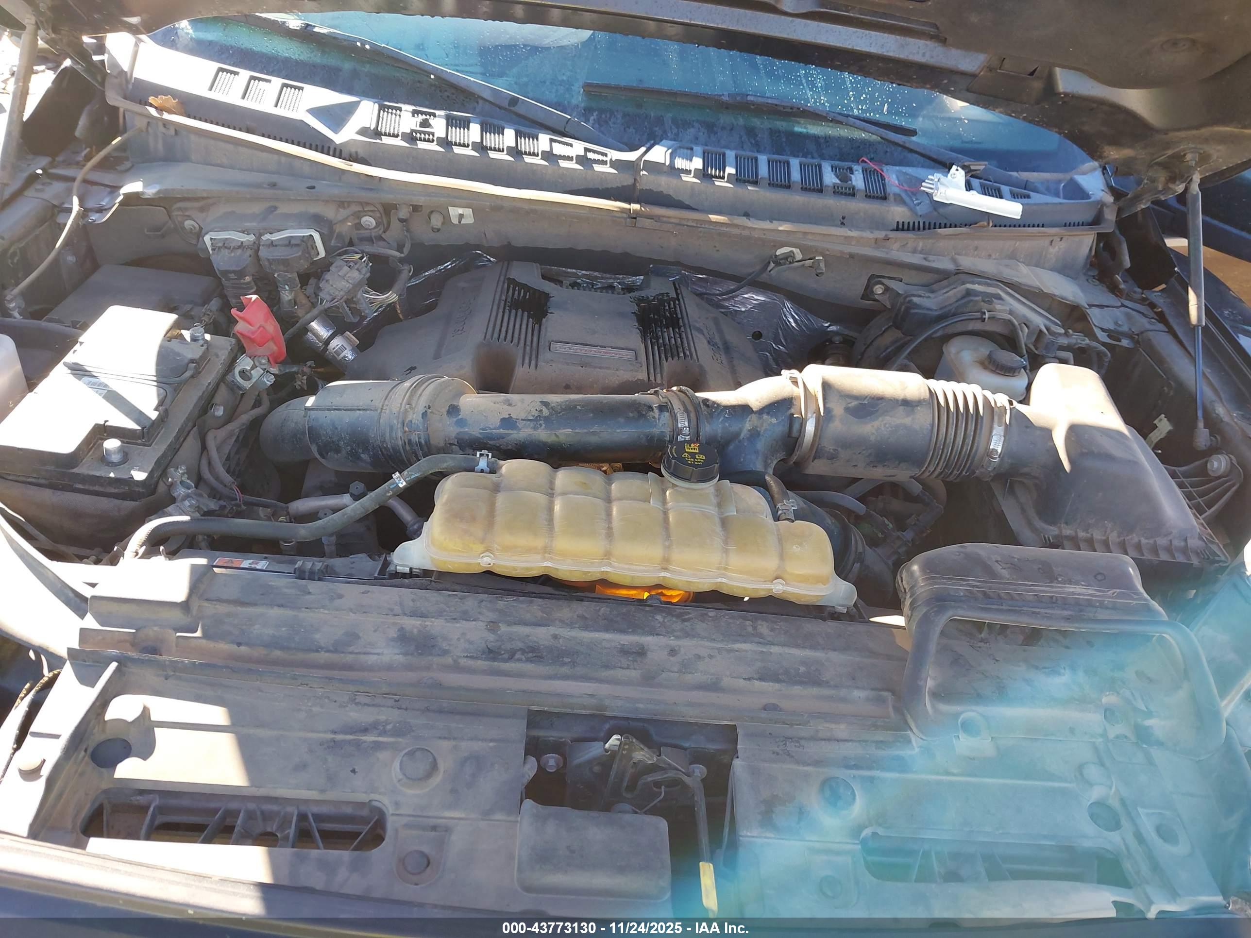 FORD F-150 image 10