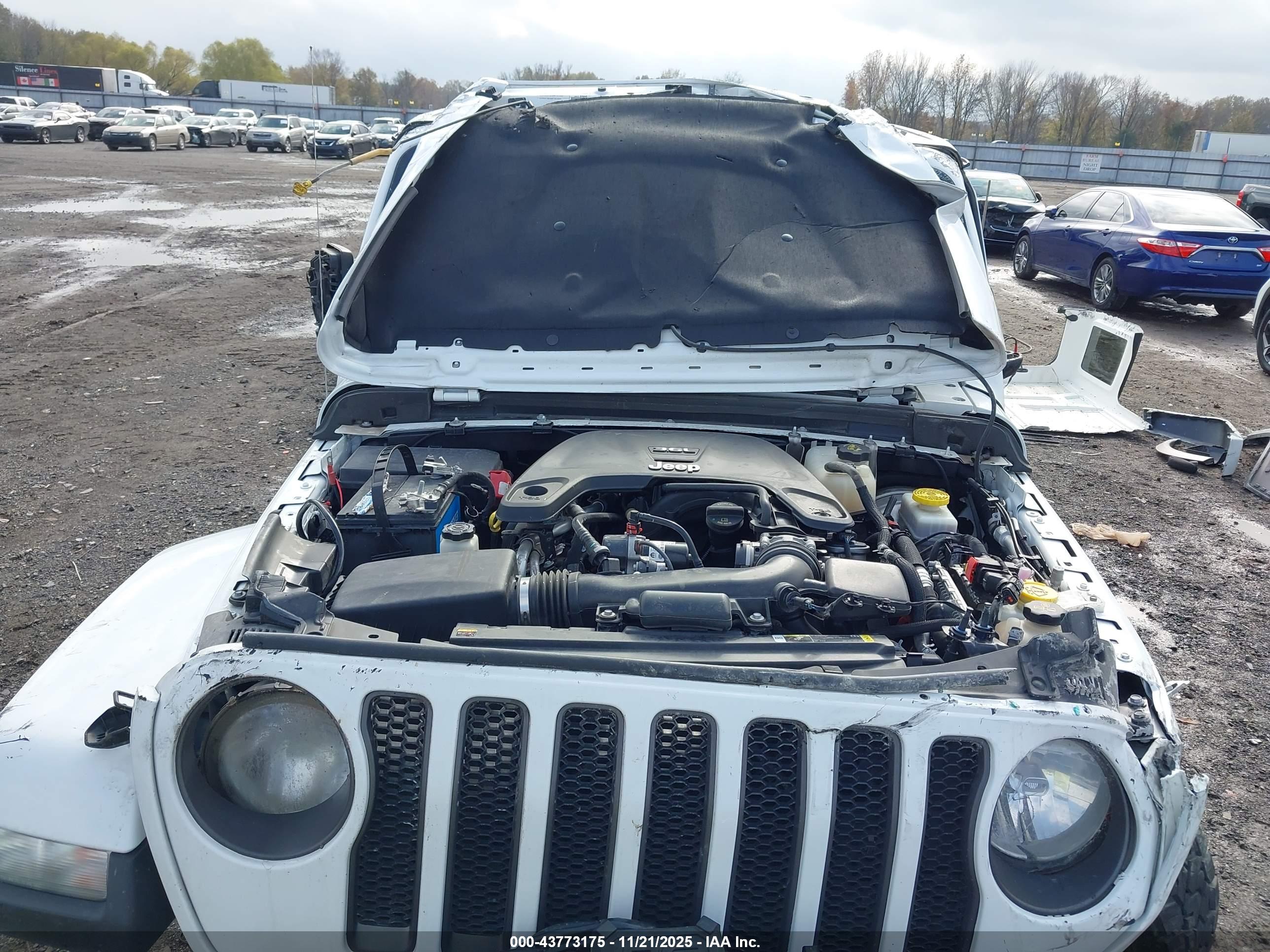 JEEP WRANGLER image 10