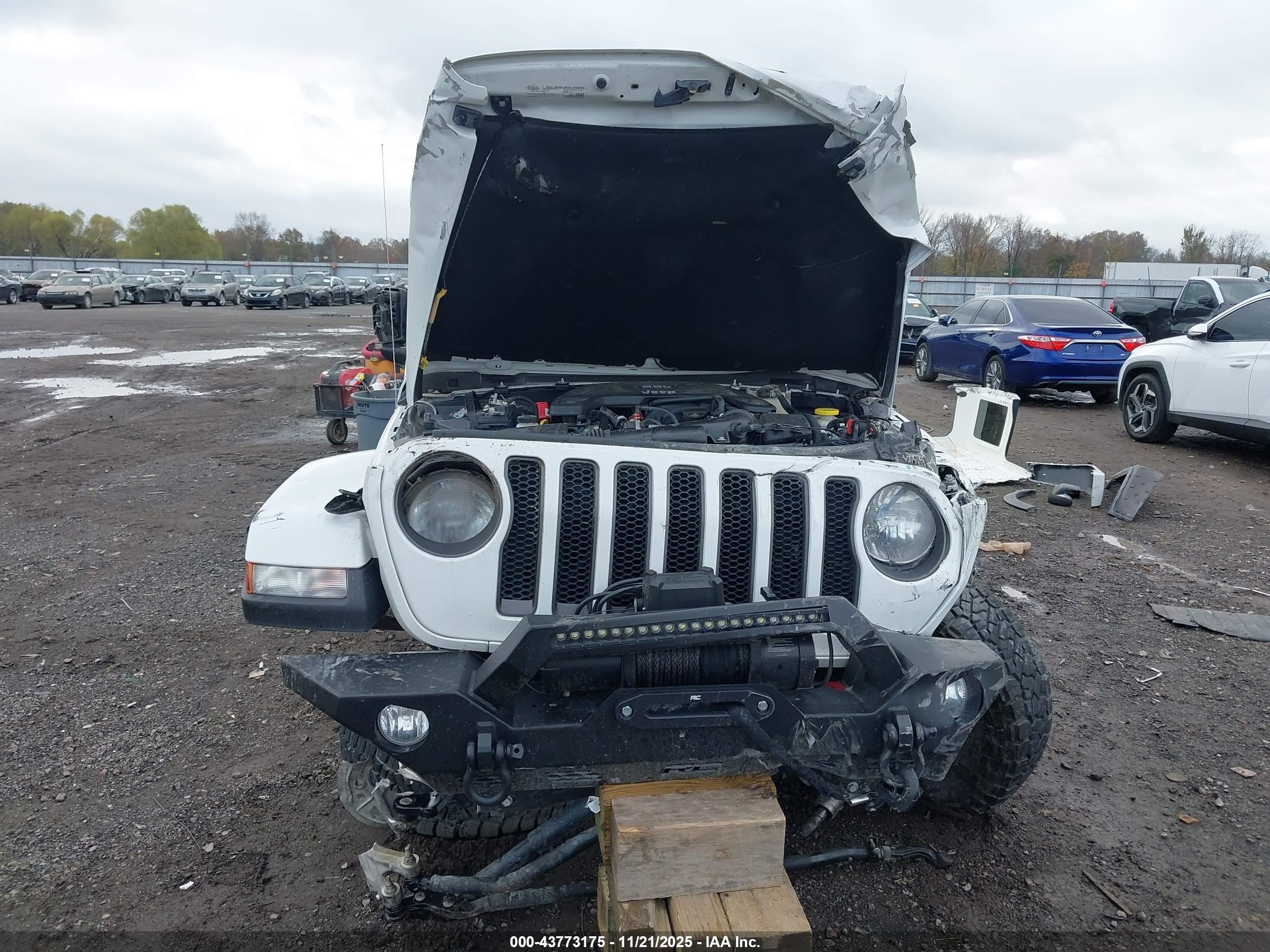 JEEP WRANGLER image 6