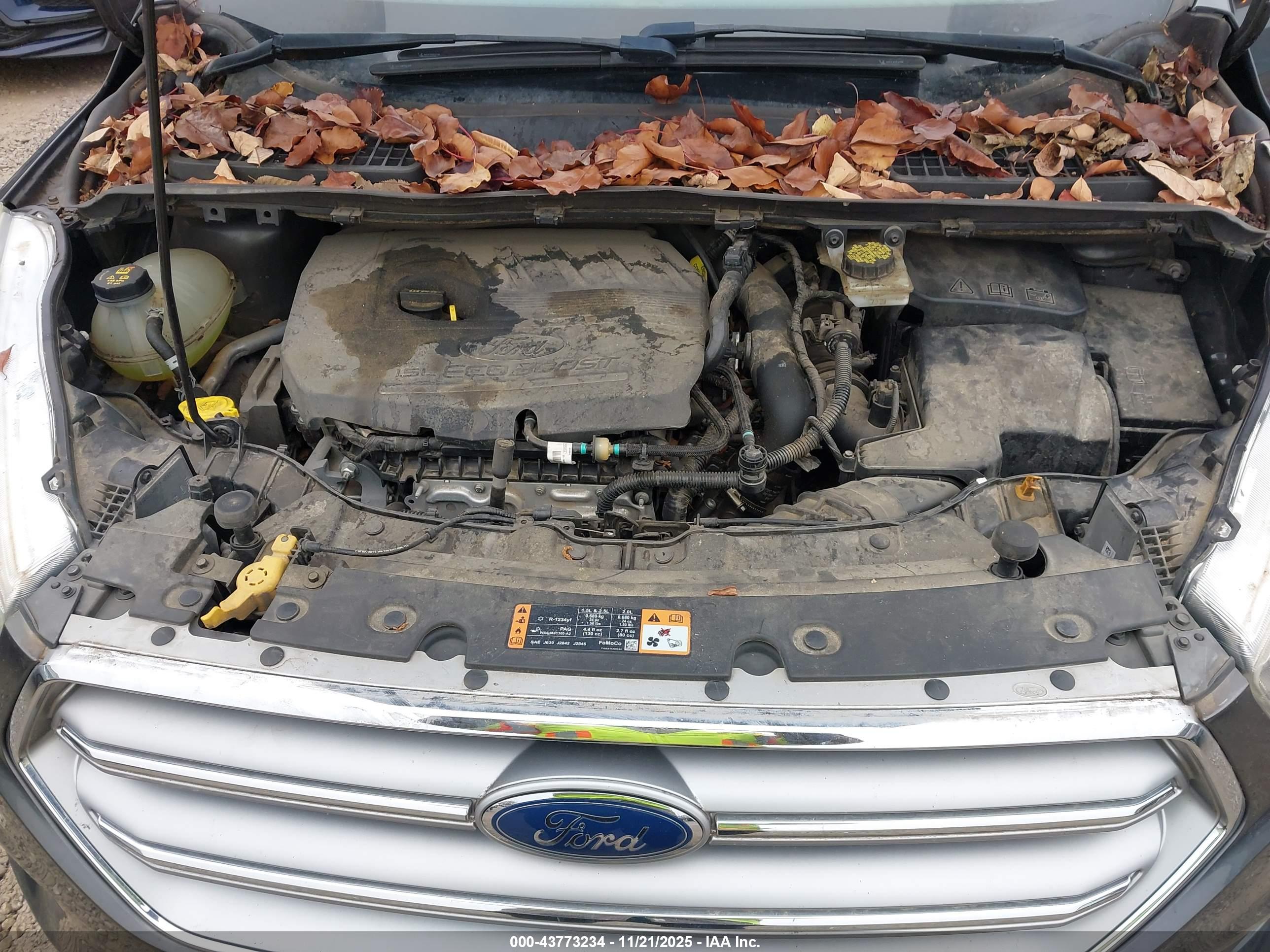 FORD ESCAPE image 10