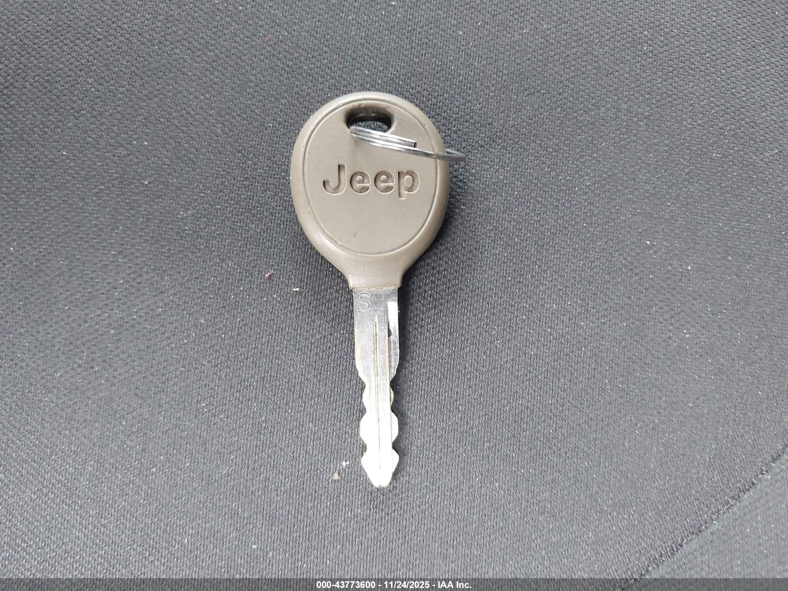 JEEP WRANGLER image 11