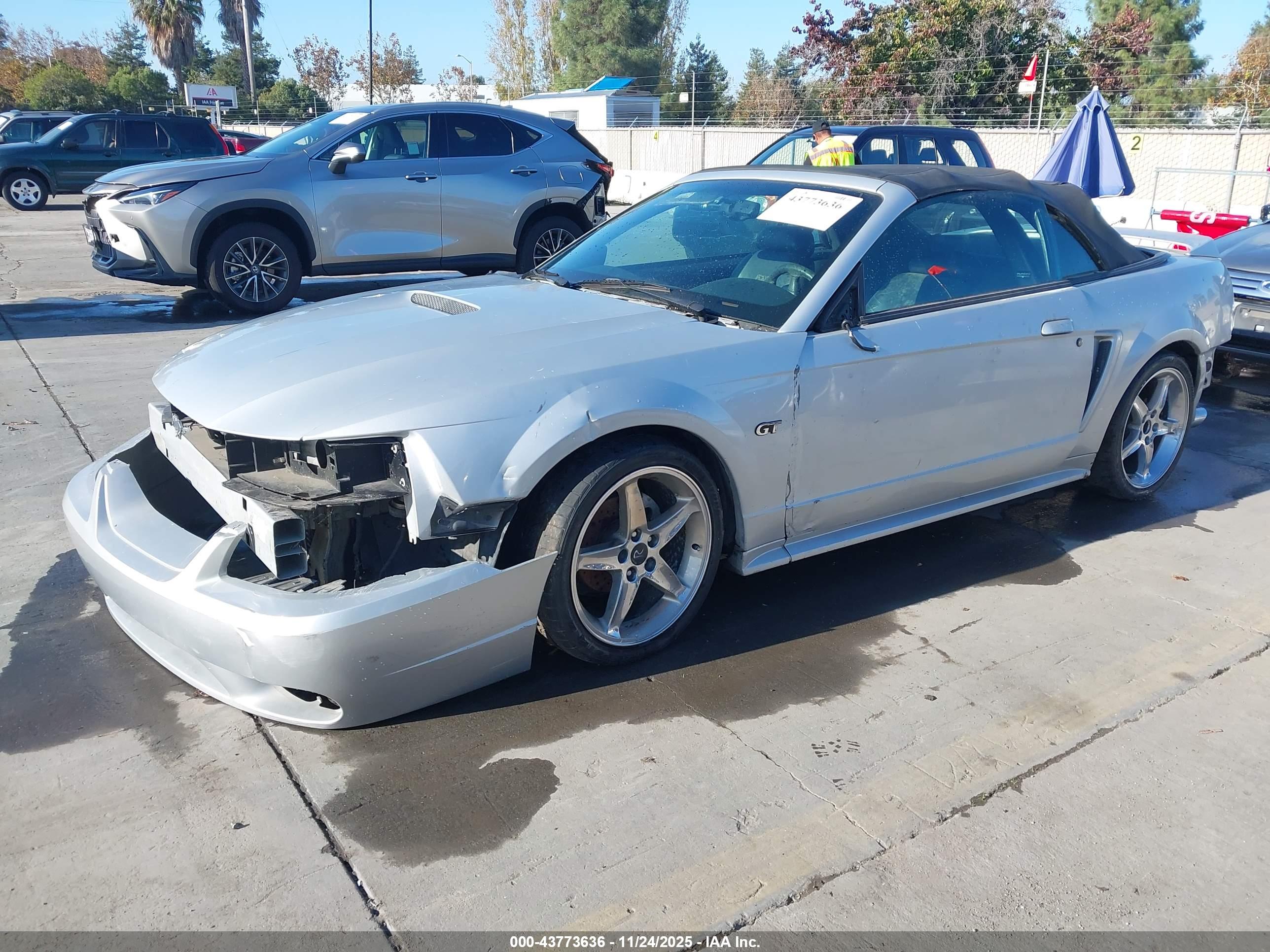 FORD MUSTANG image 2