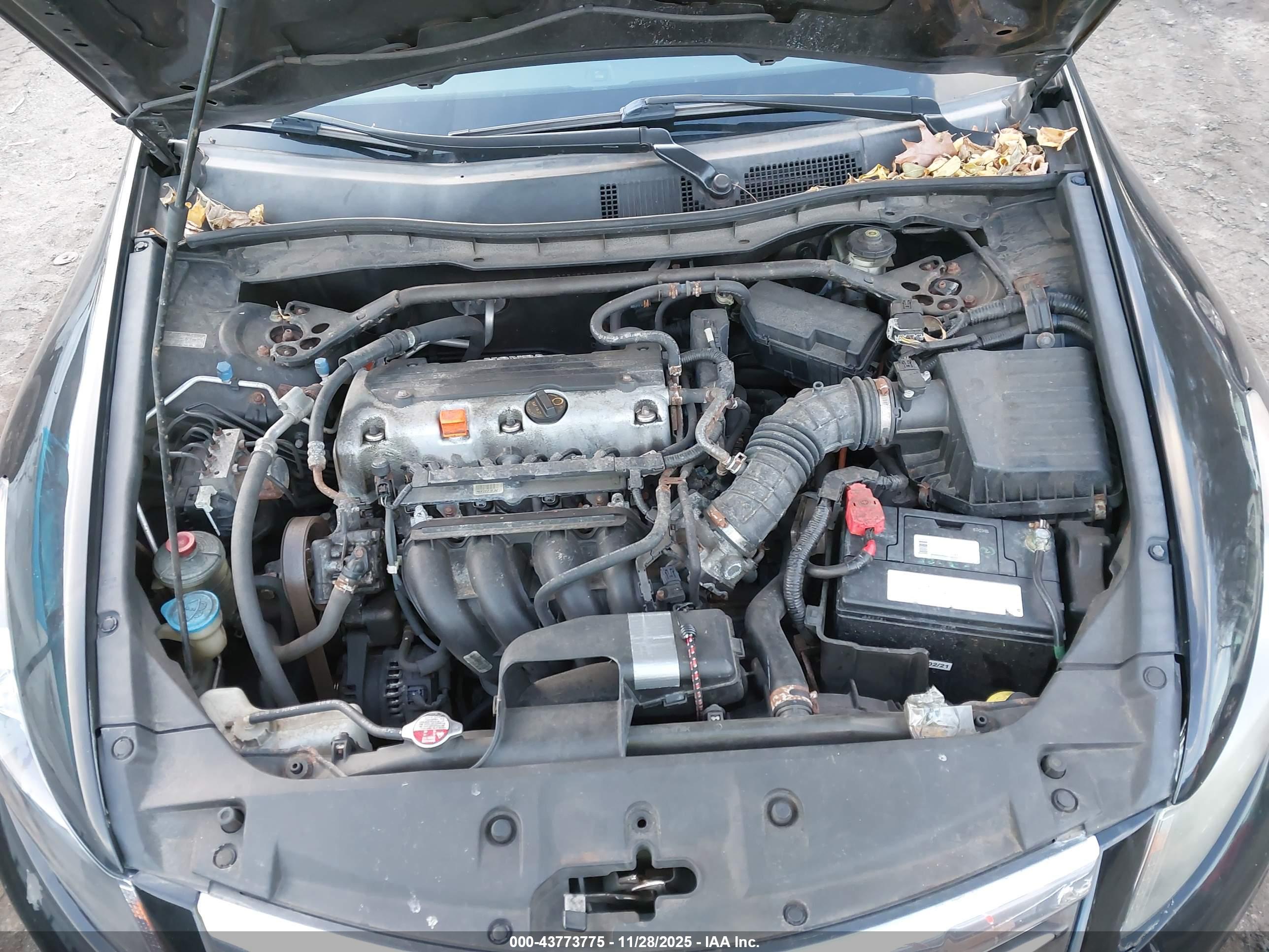 HONDA ACCORD image 10
