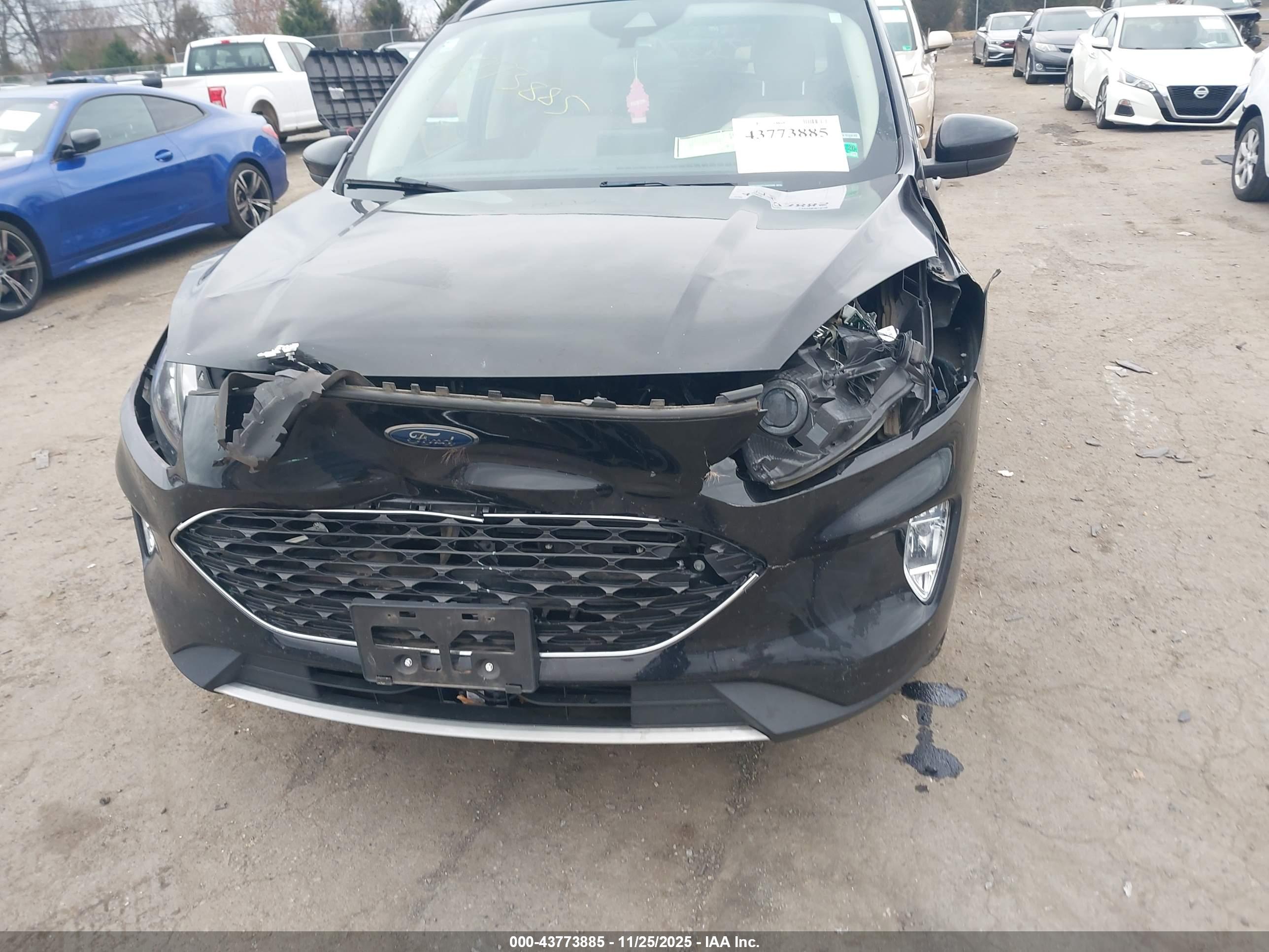 FORD ESCAPE image 6
