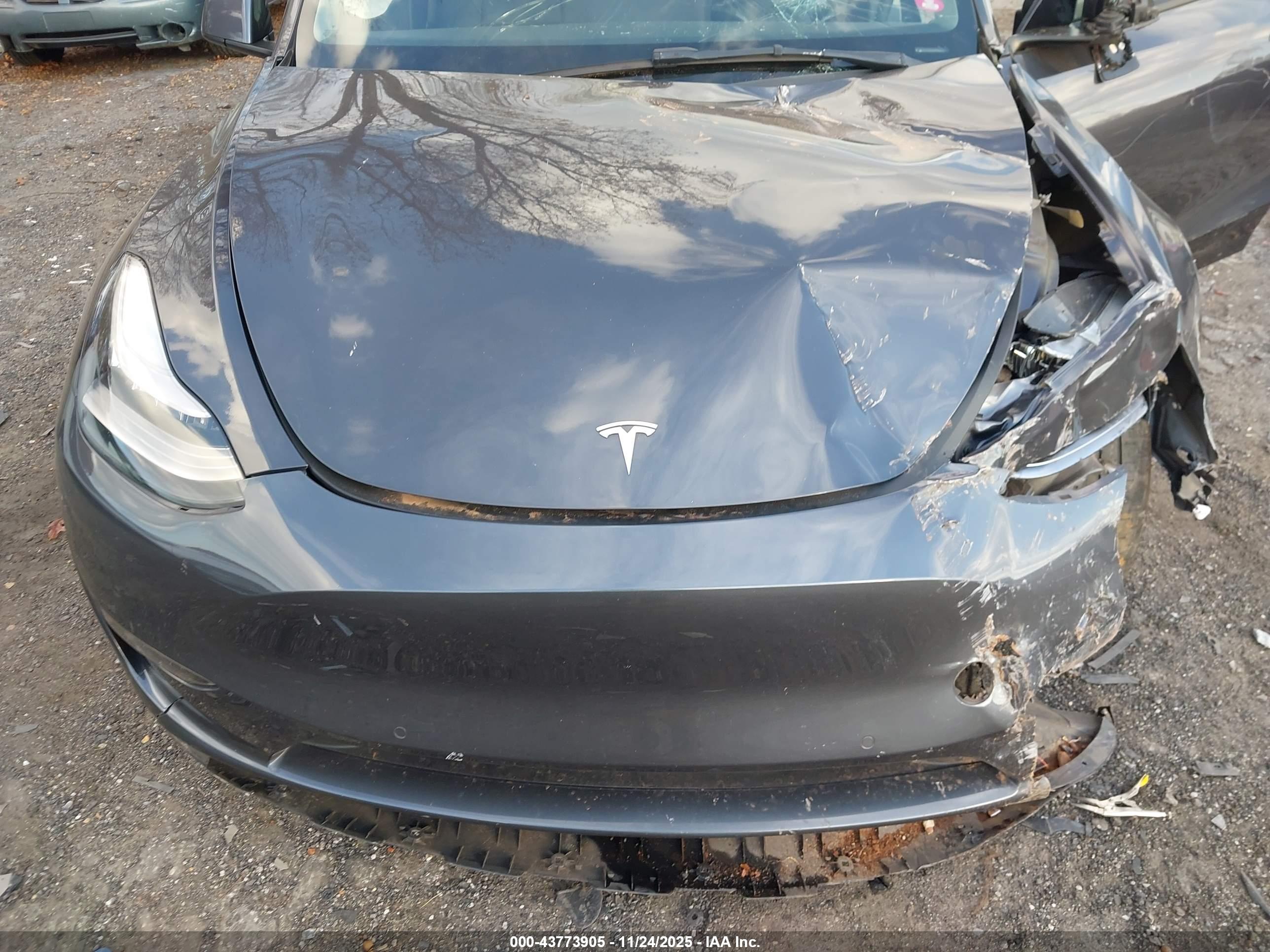 TESLA MODEL image 10