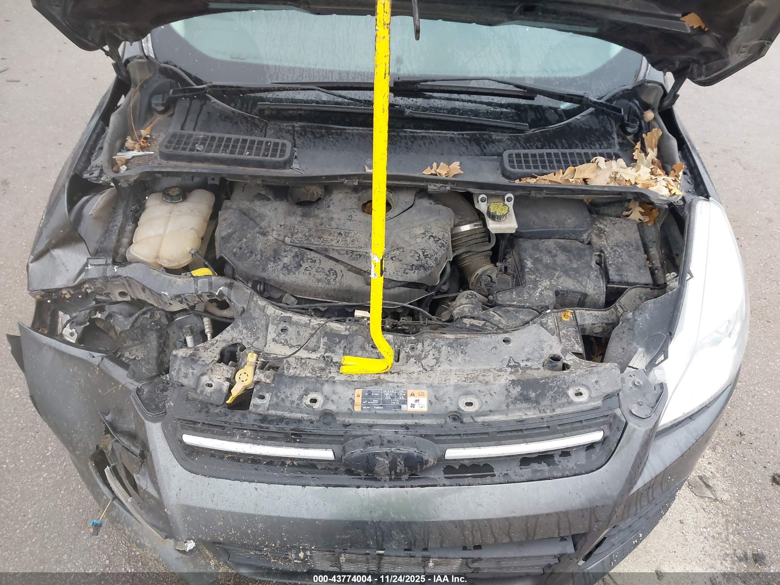 FORD ESCAPE image 10