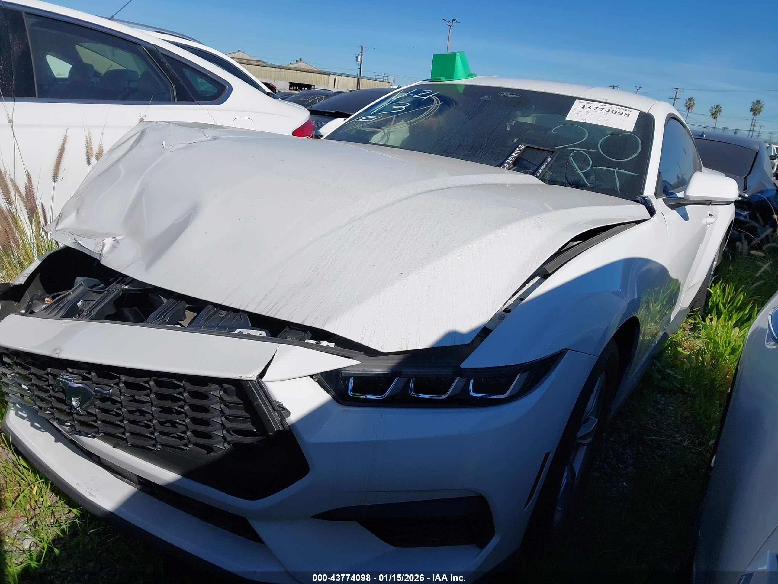 FORD MUSTANG image 2